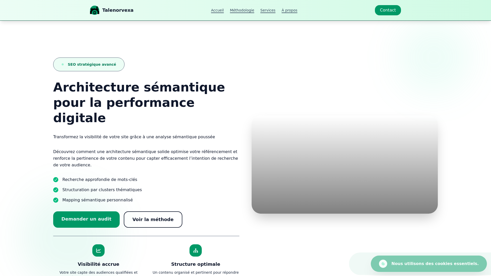 website screenshot of https://talenorvexa.world/