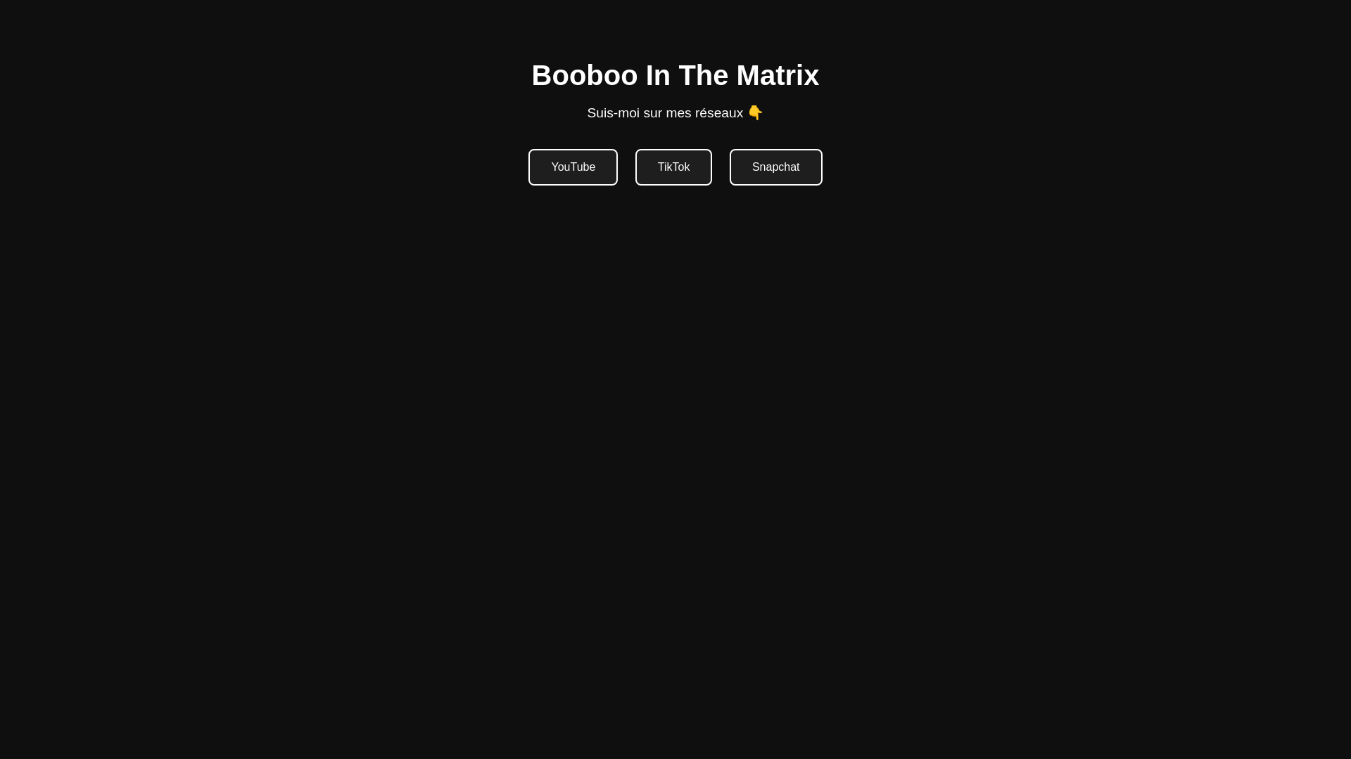 website screenshot of https://booboointhematrix.fr/