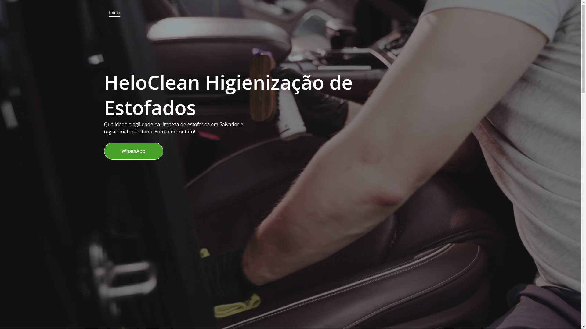 website screenshot of https://heloclean.com.br/