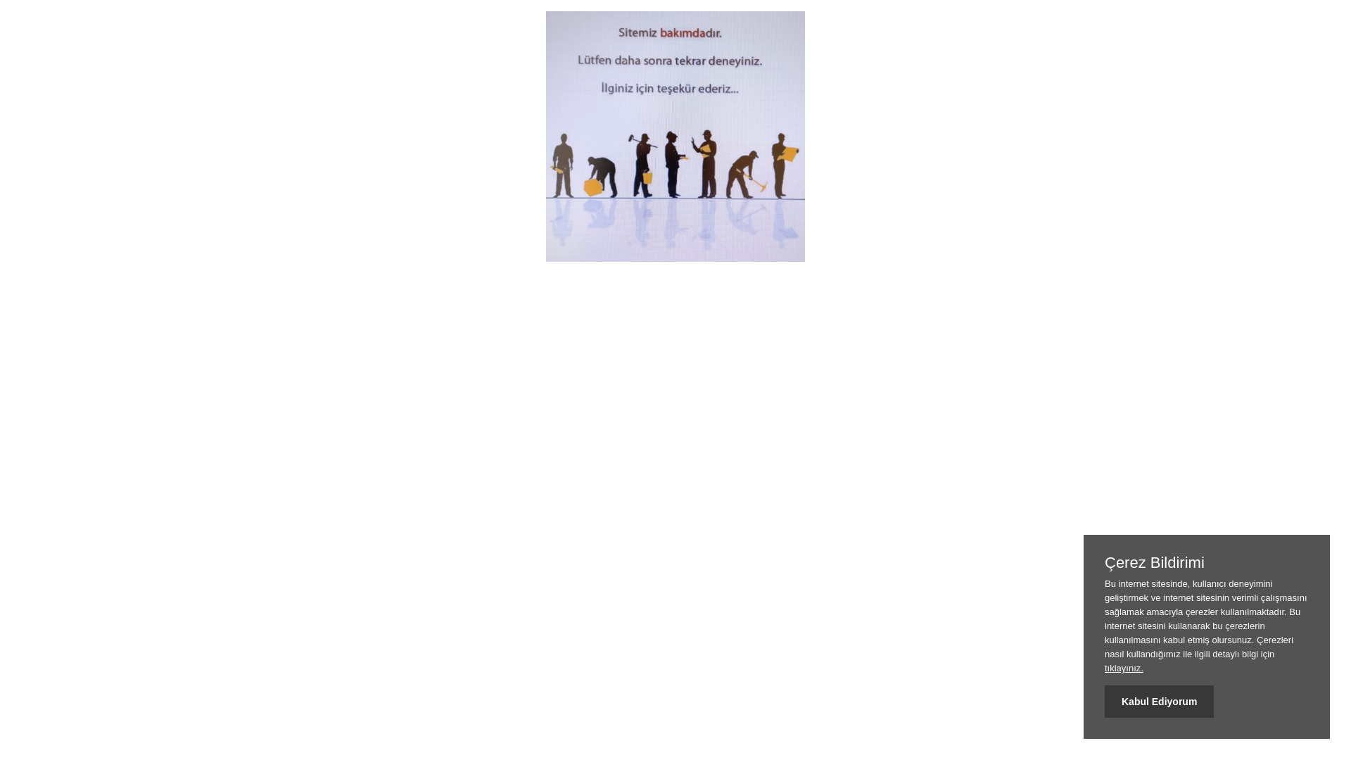 website screenshot of https://agagroupemlakinsaatelektrik.com/