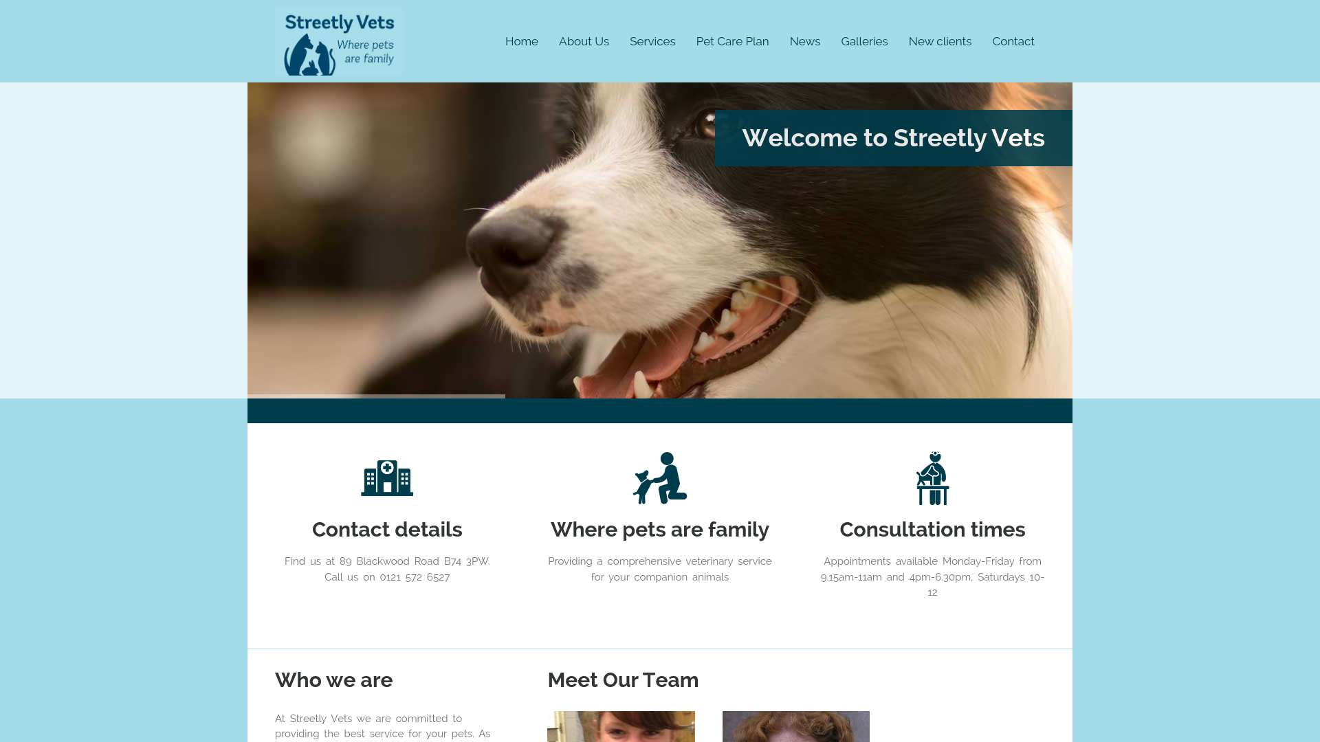 website screenshot of https://cheapestvets.co.uk
