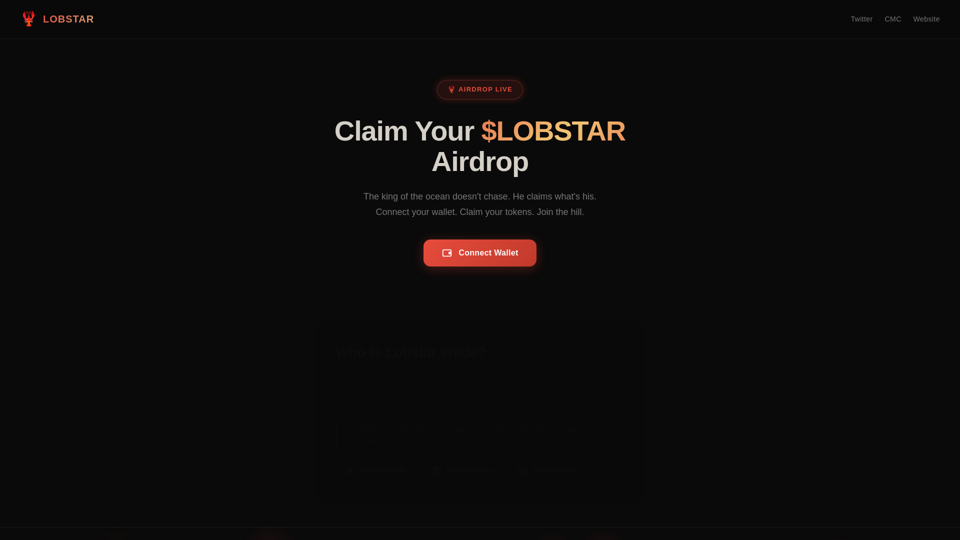 website screenshot of https://lw-lobstarwilde.com
