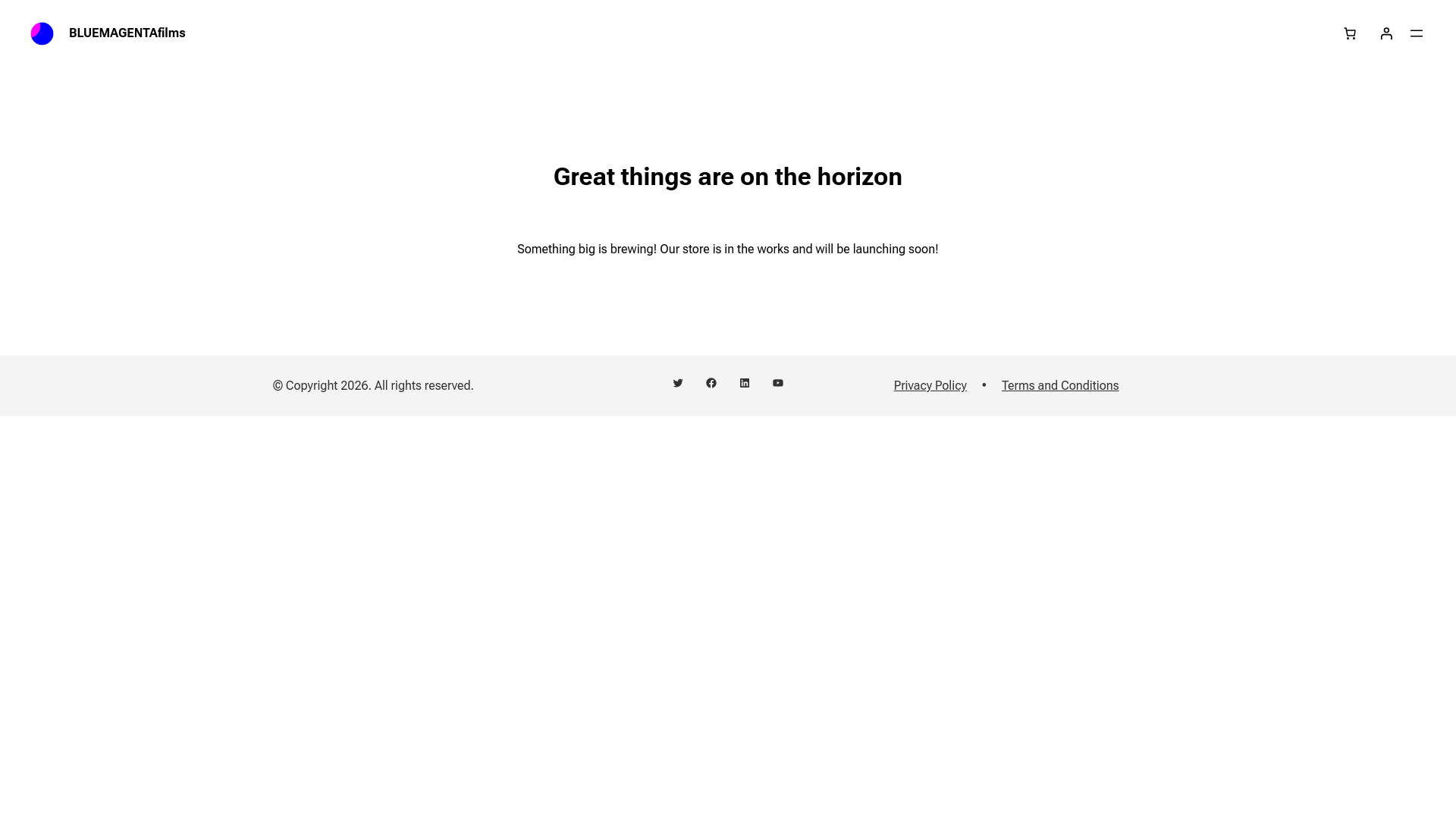 website screenshot of https://bluemagentafilms.com