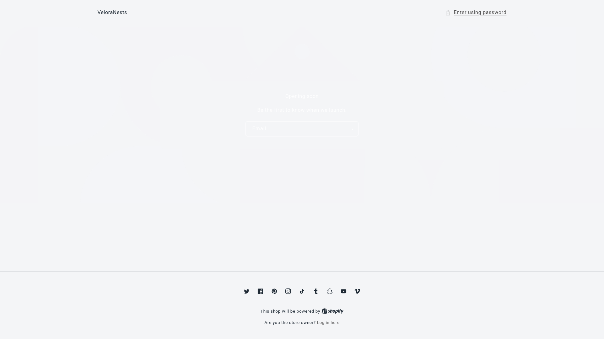 website screenshot of https://veloranests.store/