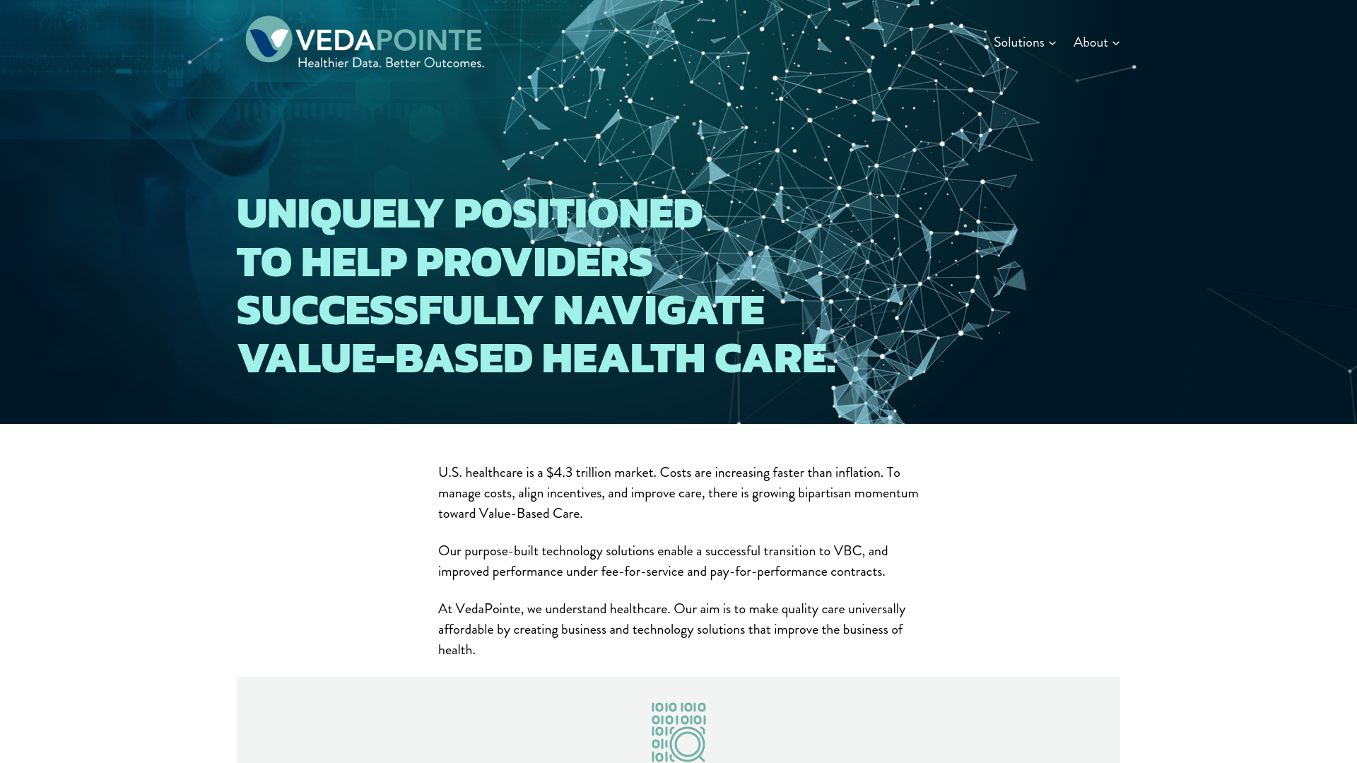 website screenshot of https://vedapointeconnect.com/