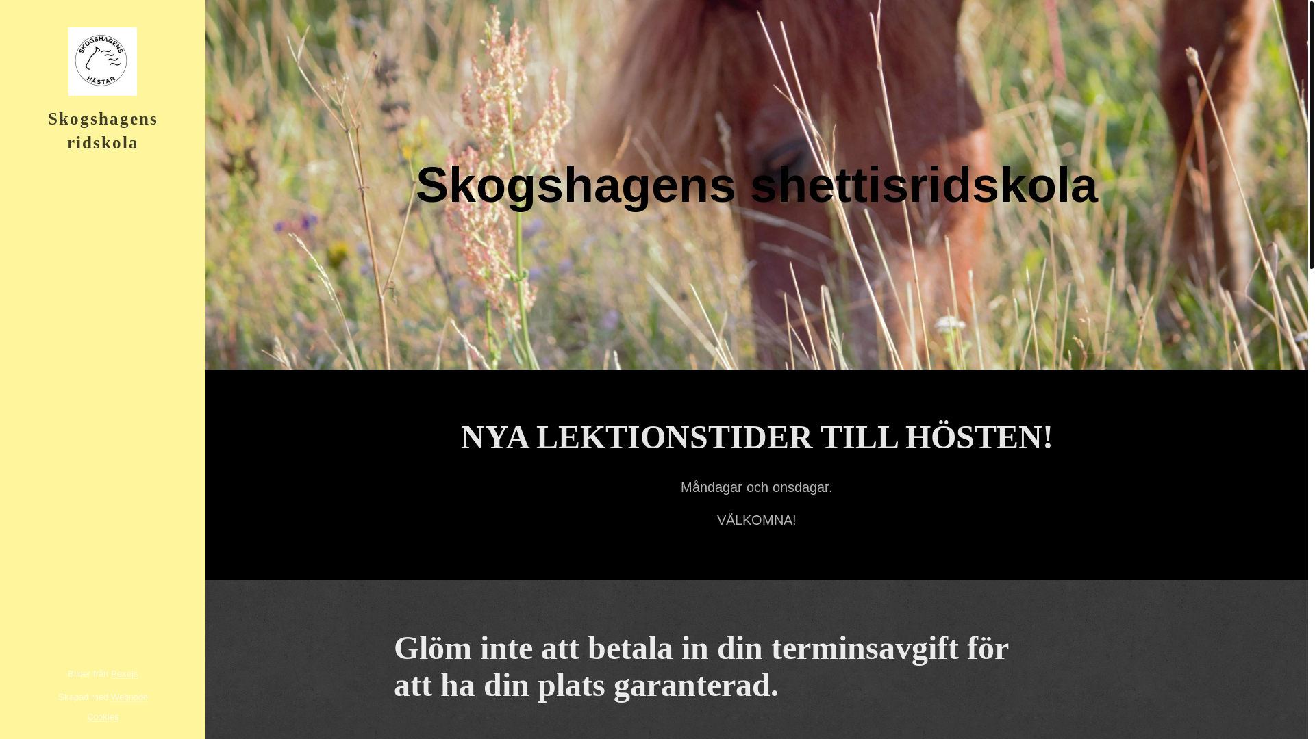 website screenshot of https://skogshagensridskola.se/