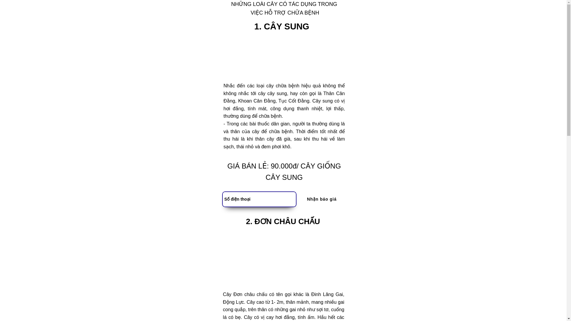 website screenshot of https://thaoduoccotricuctot.click/