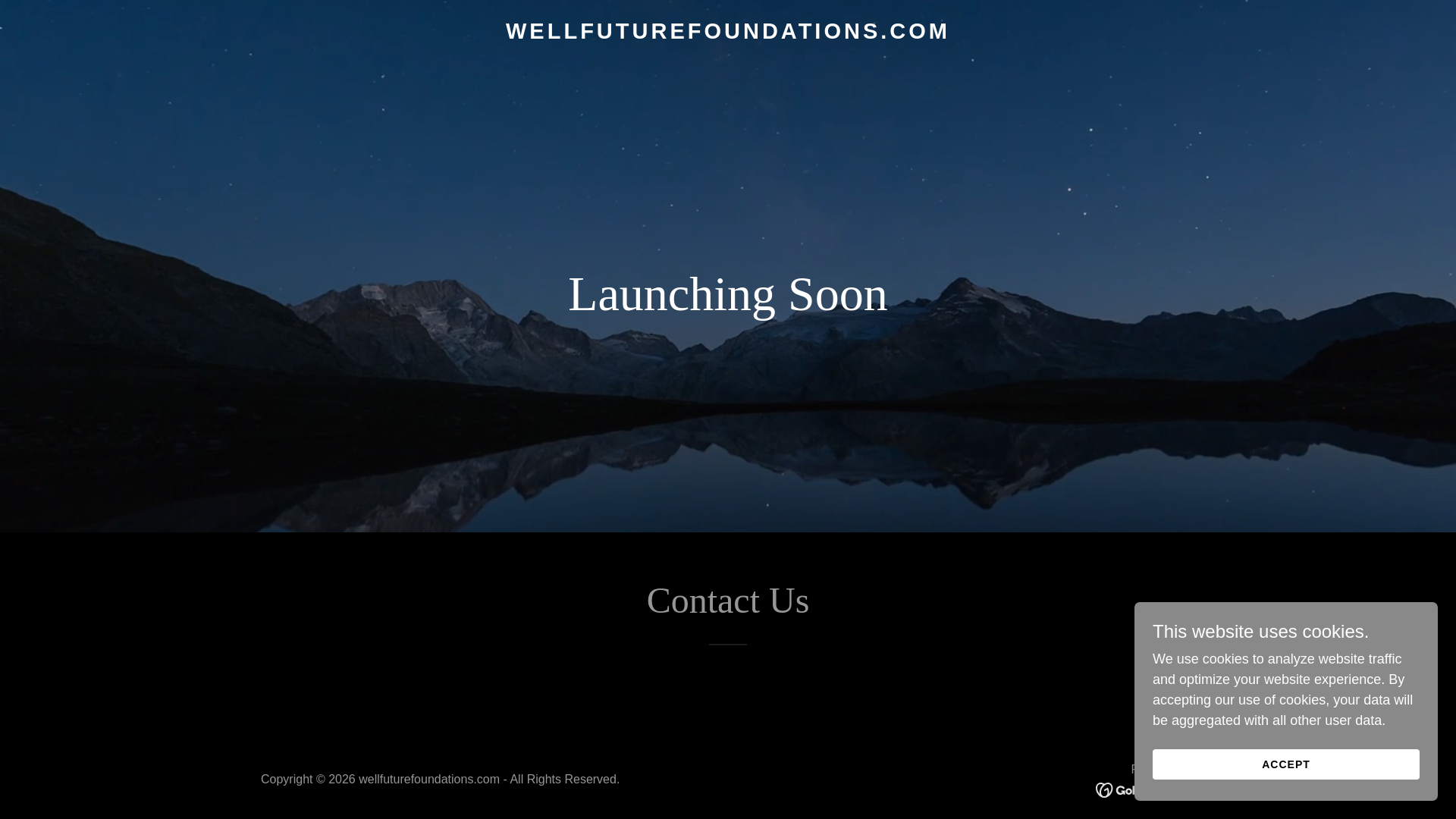 website screenshot of https://wellfuturefoundations.com/