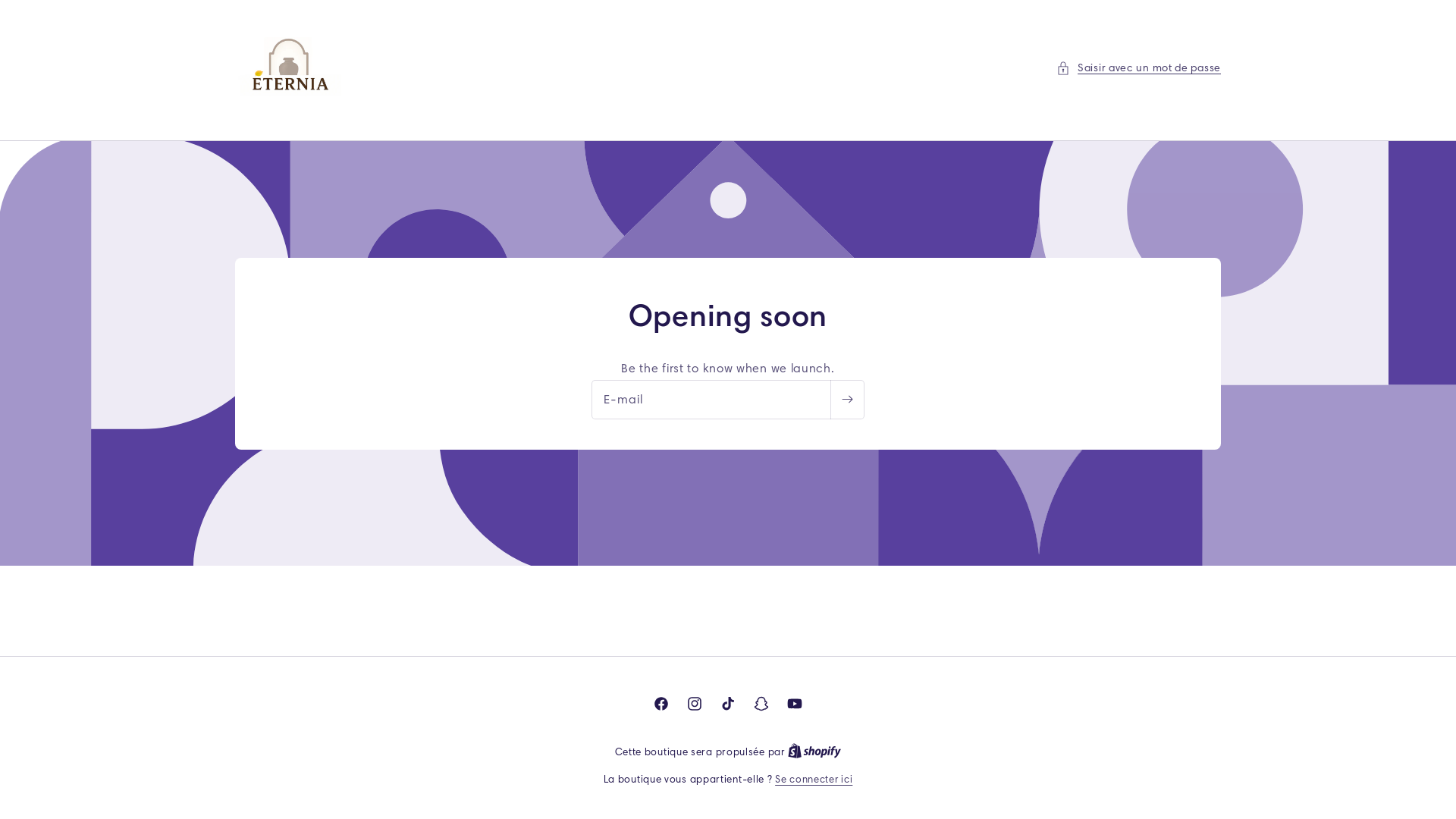 website screenshot of https://stradrive.com/