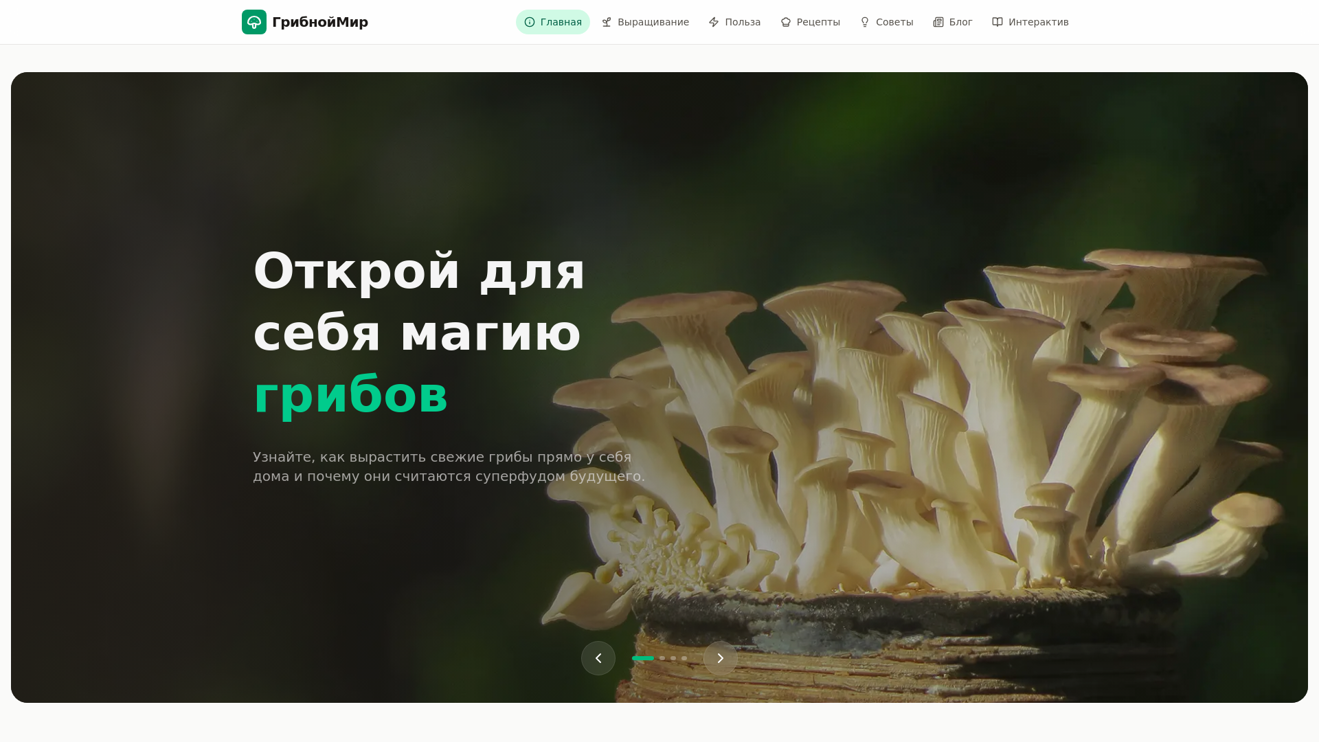 website screenshot of https://shampinyon.uz/