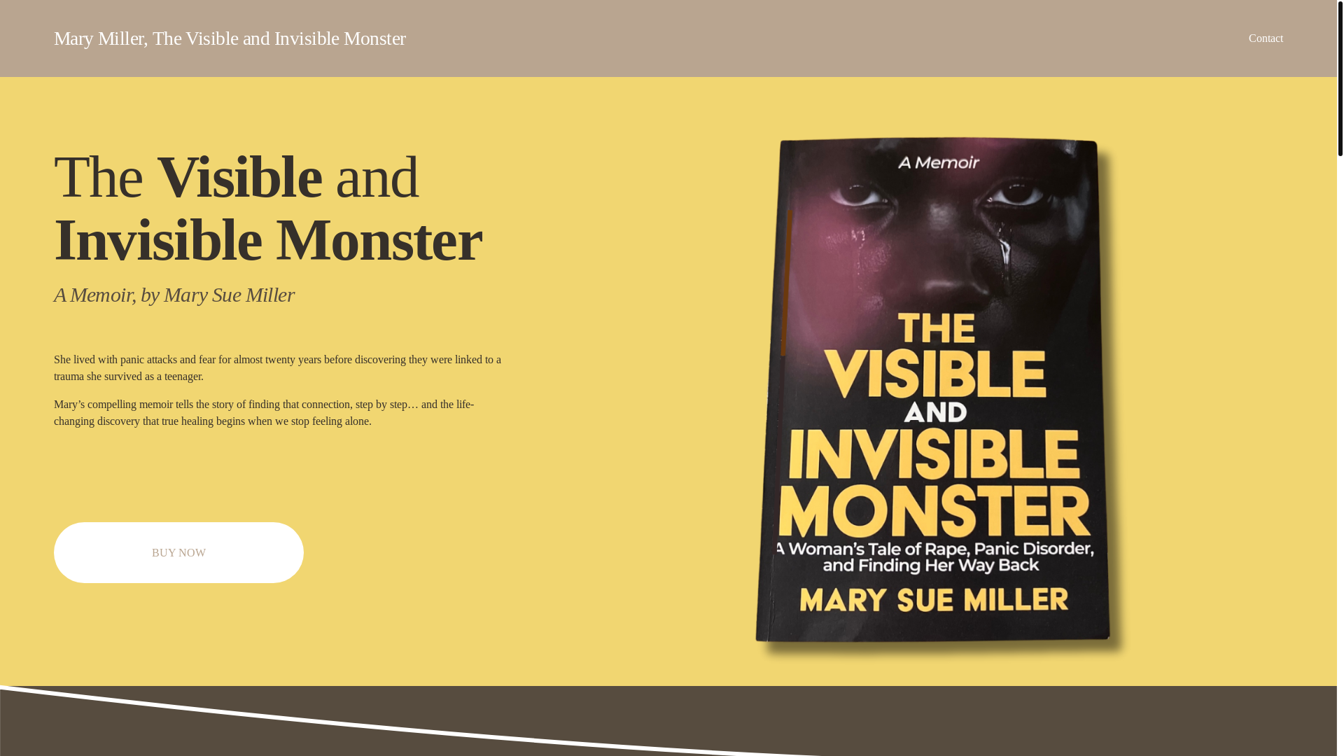 website screenshot of https://visibleandinvisiblemonster.com/