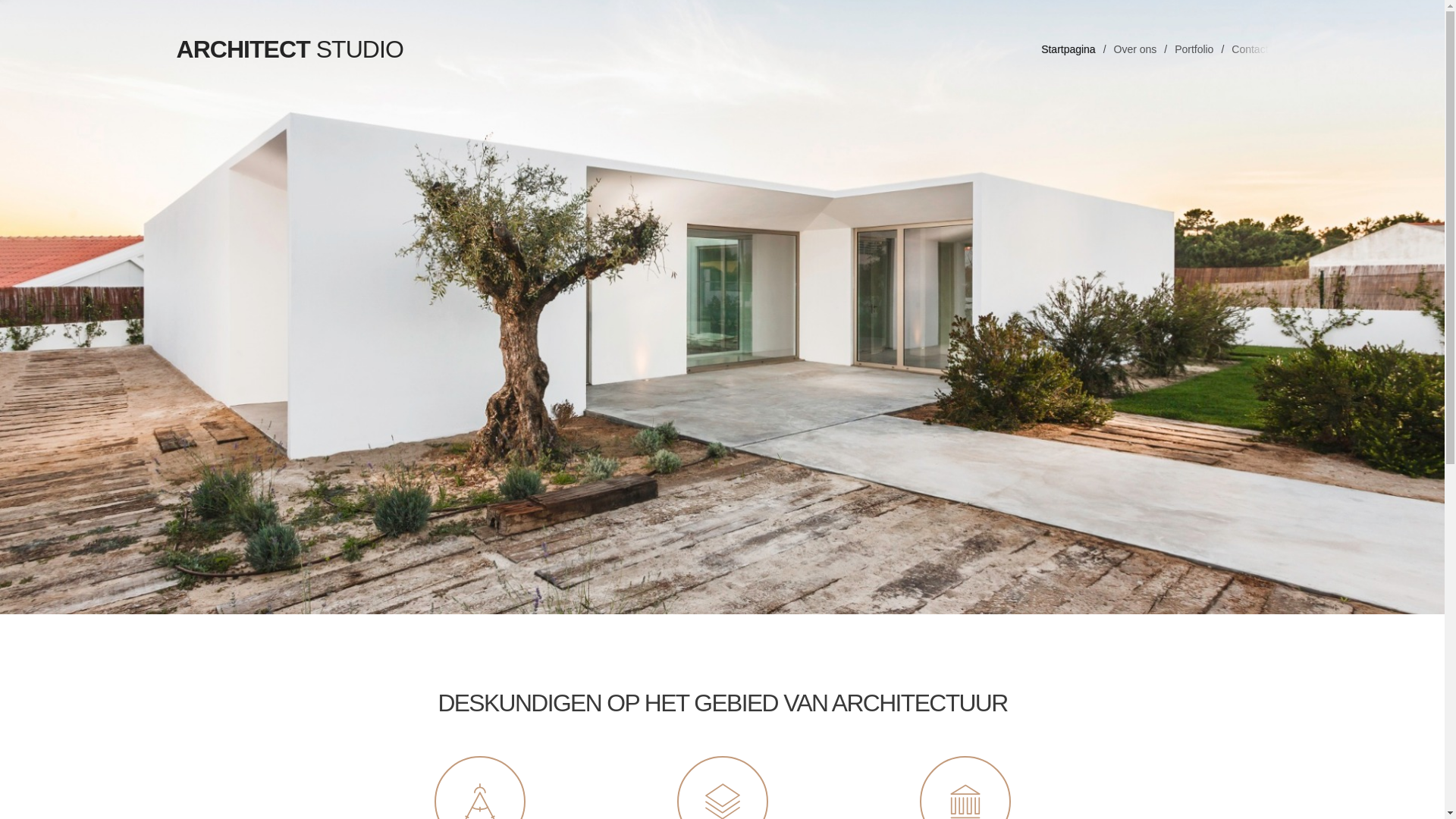 website screenshot of https://astridvanlierop.com/