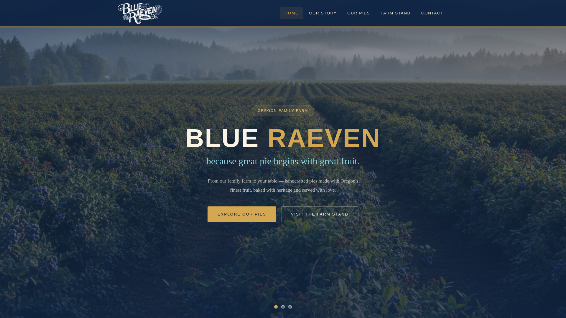 website screenshot of https://blue-raeven-concept.pages.dev/