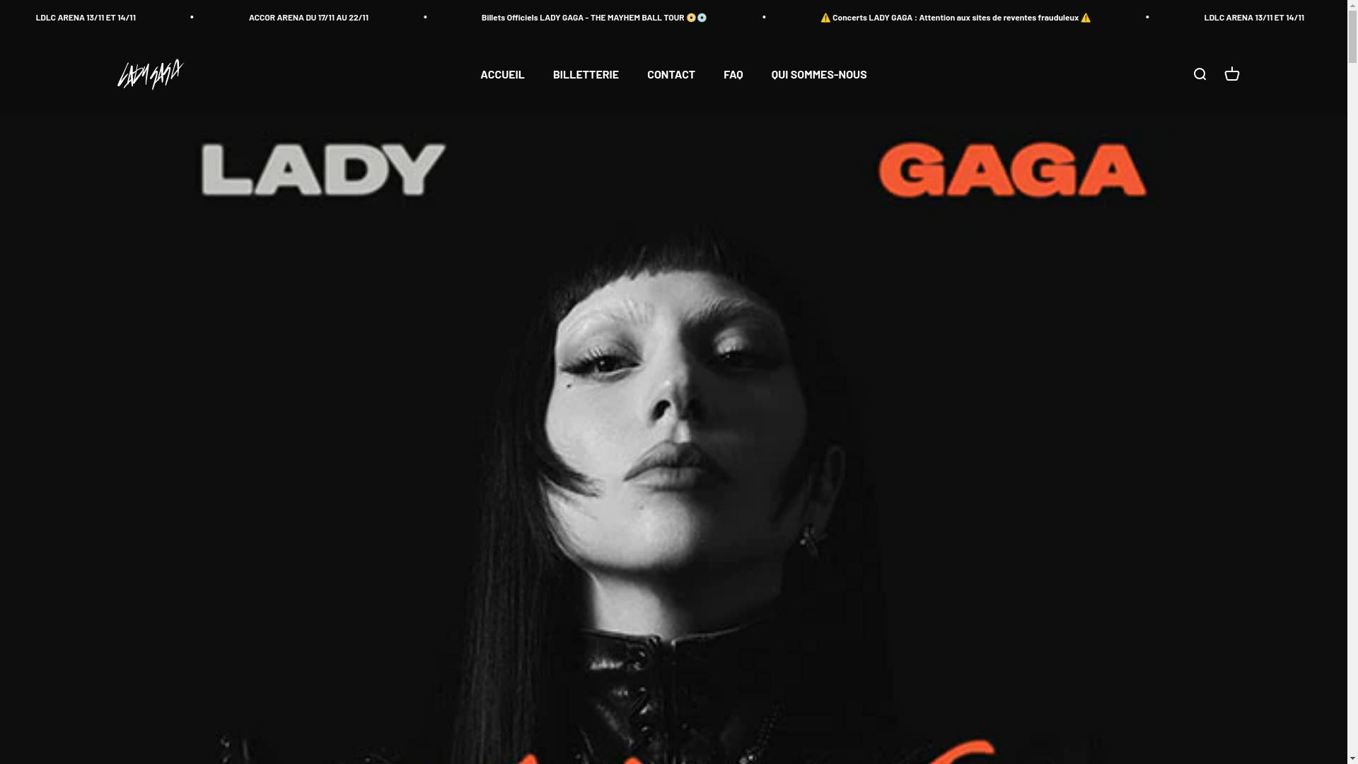 website screenshot of https://mayhemtour-tickets.com/