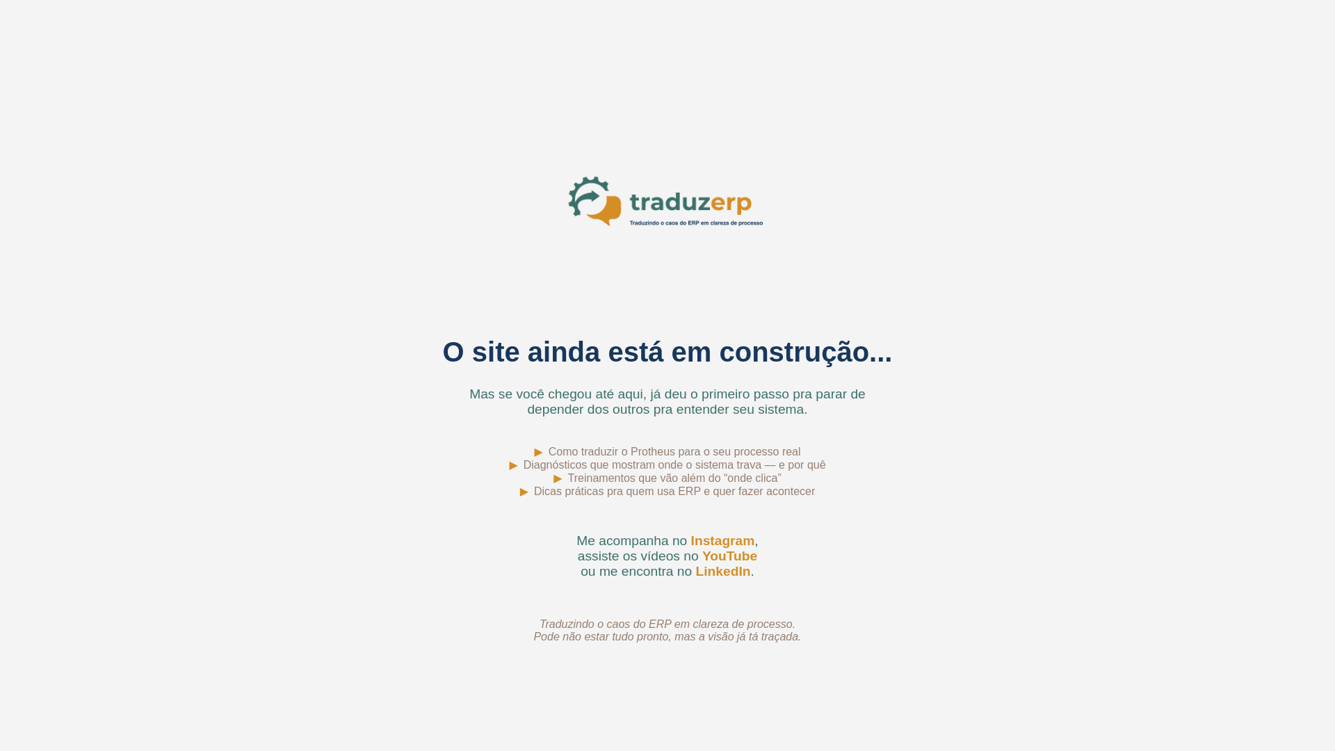 website screenshot of https://traduzerp.com.br/