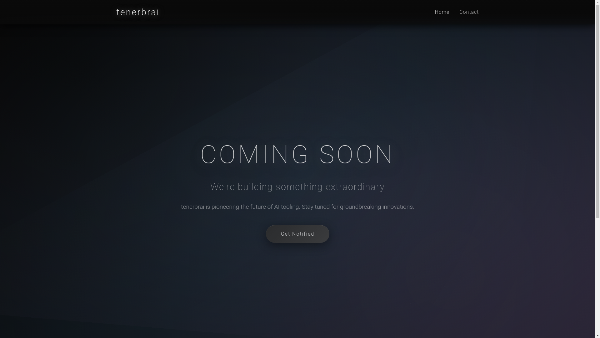 website screenshot of https://tenerbr.ai/