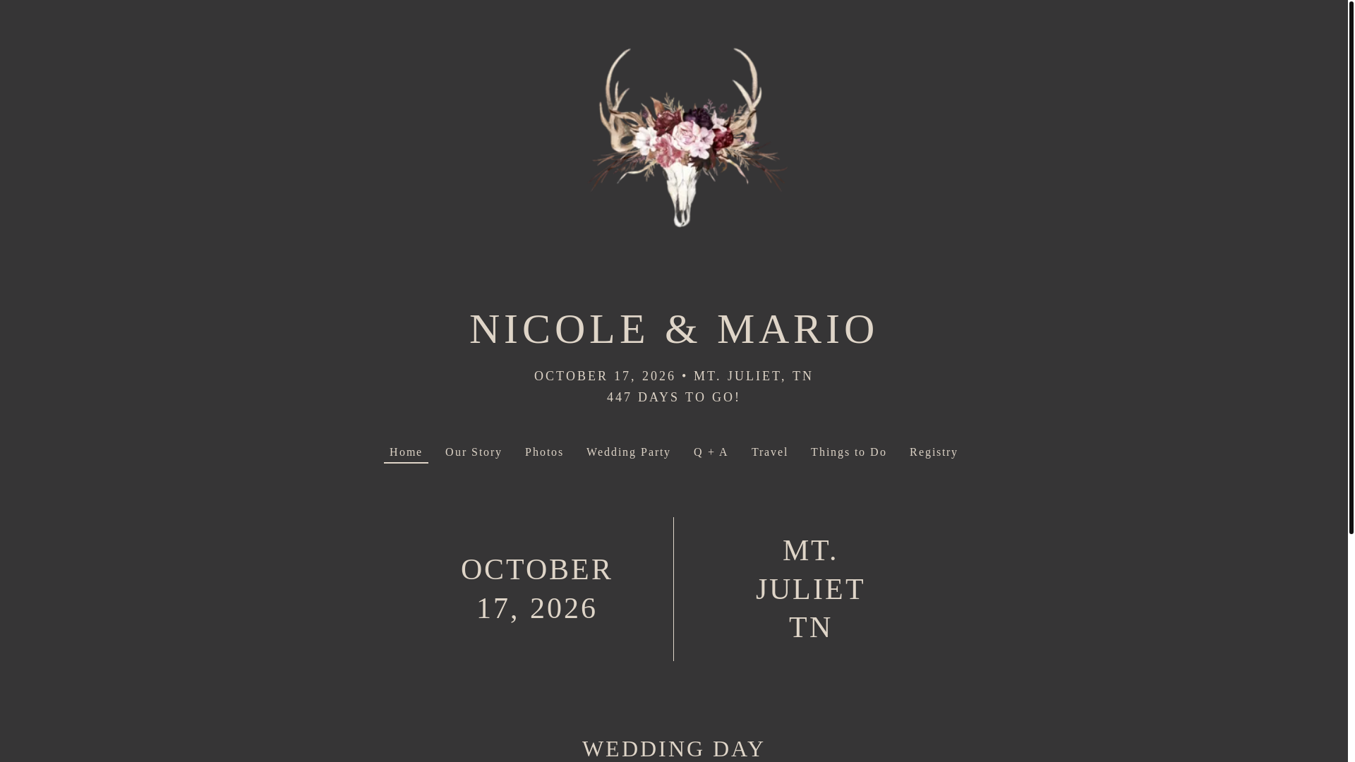 website screenshot of https://nicoleandmario.com/