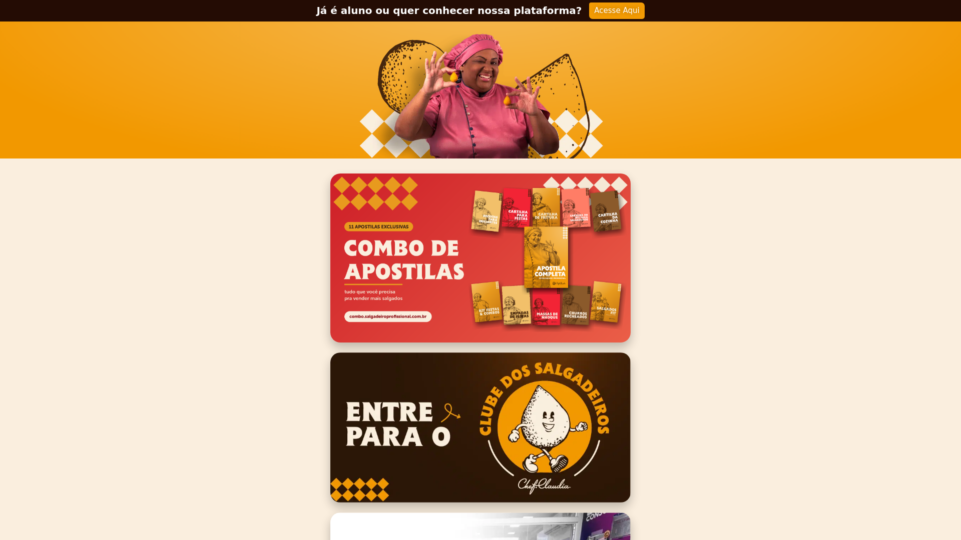 website screenshot of https://bio-salgadeiro-profissional.pages.dev/