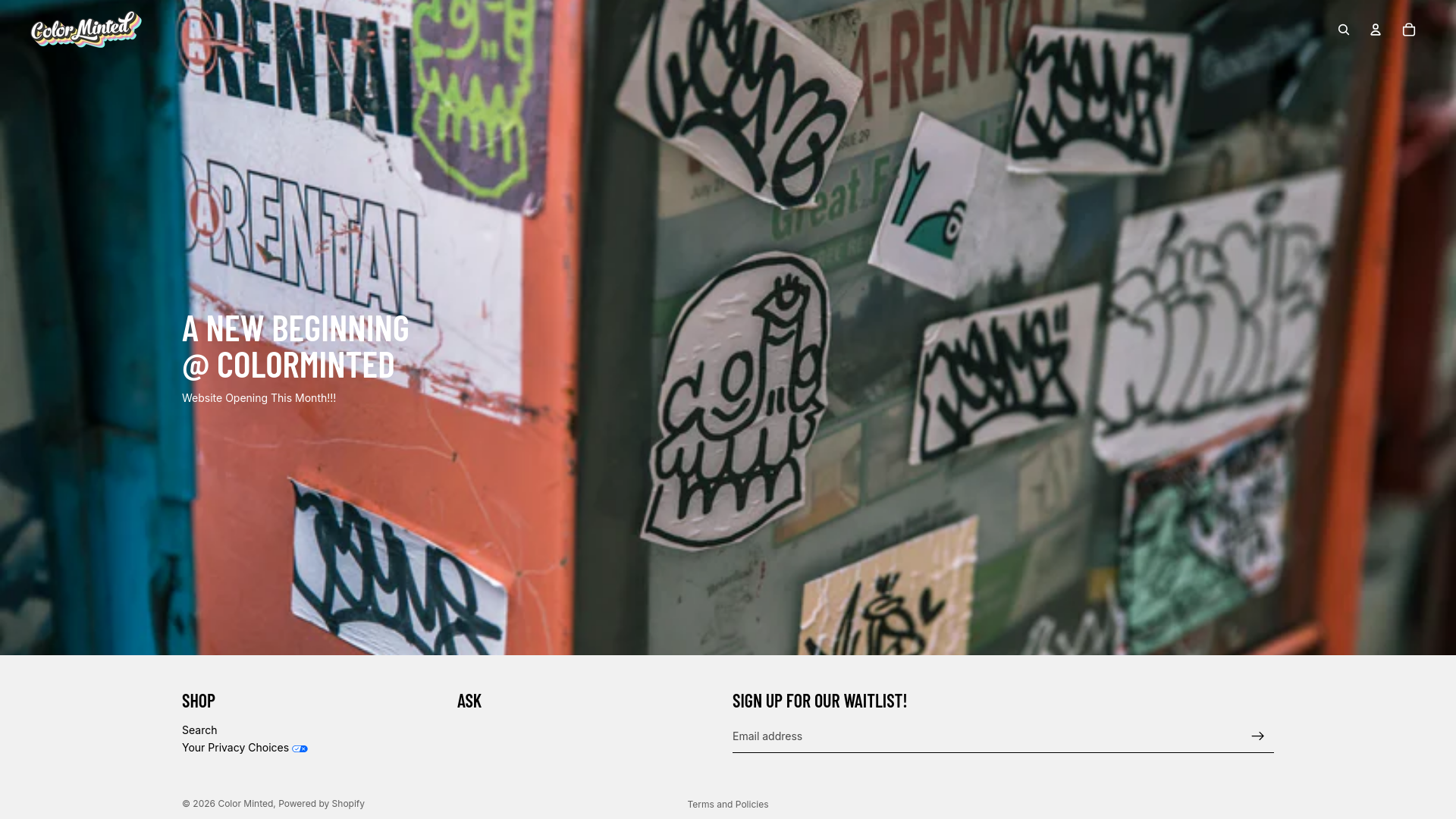 website screenshot of https://colorminted.co