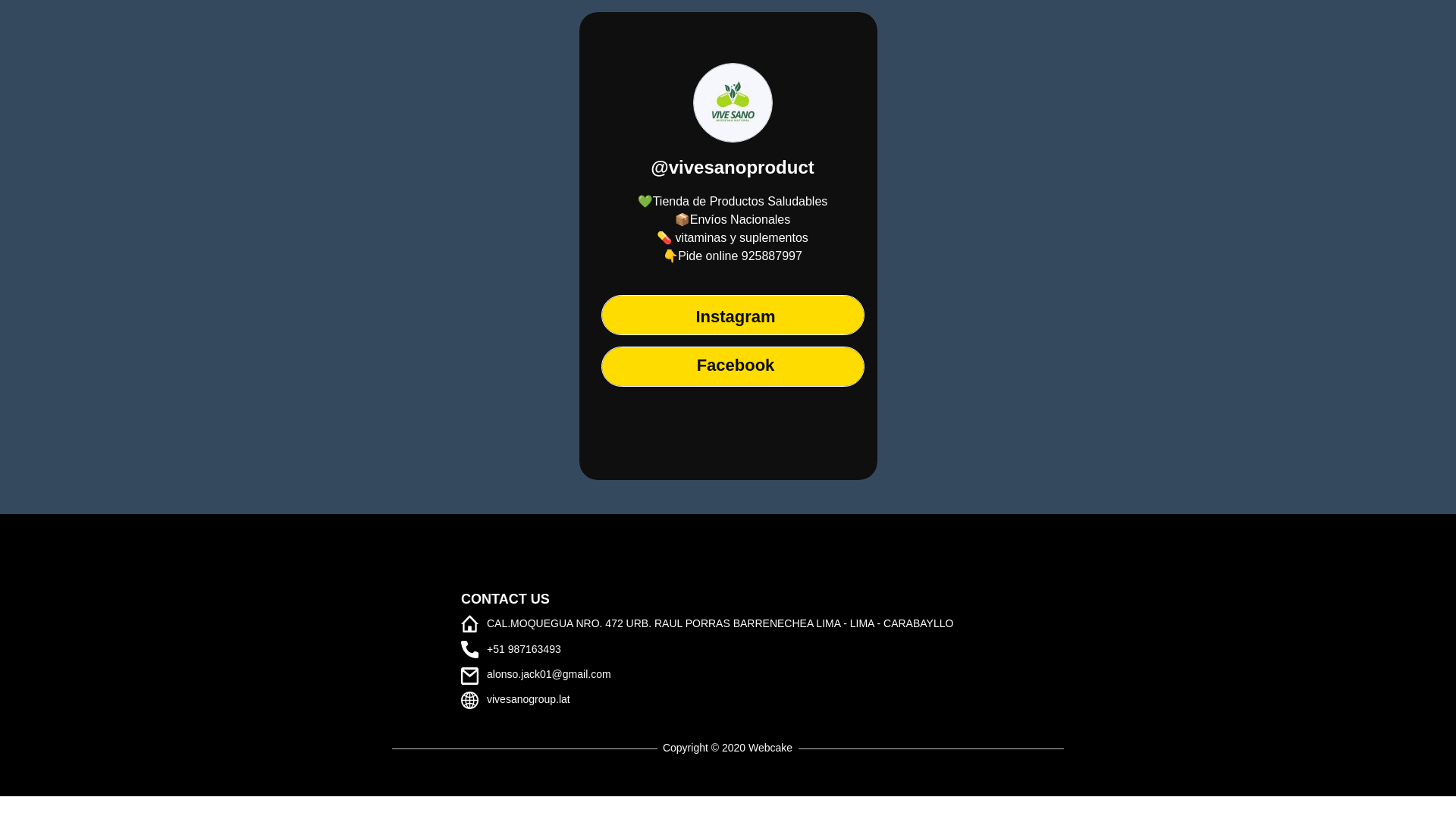 website screenshot of https://vivesanogroup.lat/