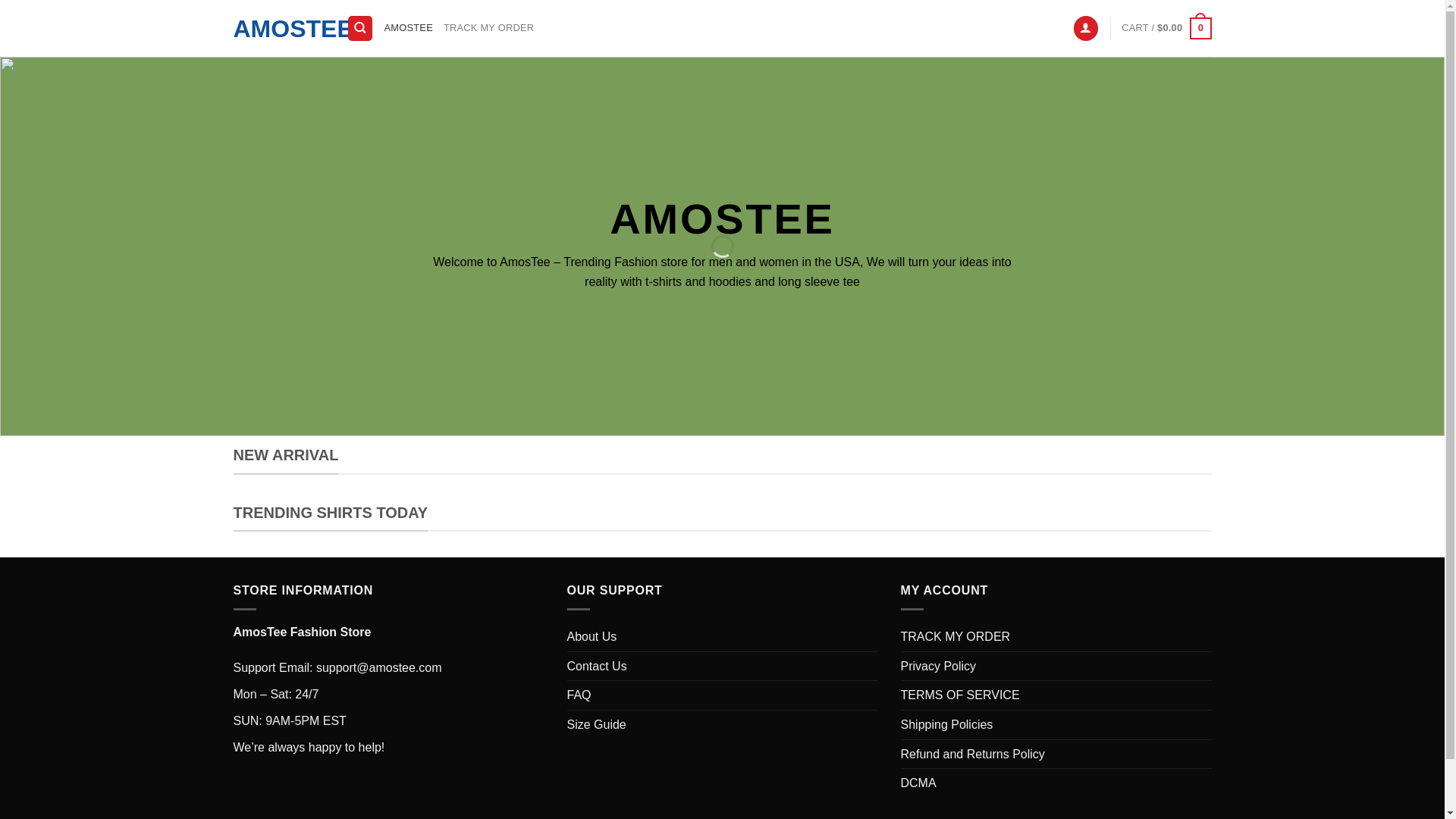 website screenshot of https://amostee.com/