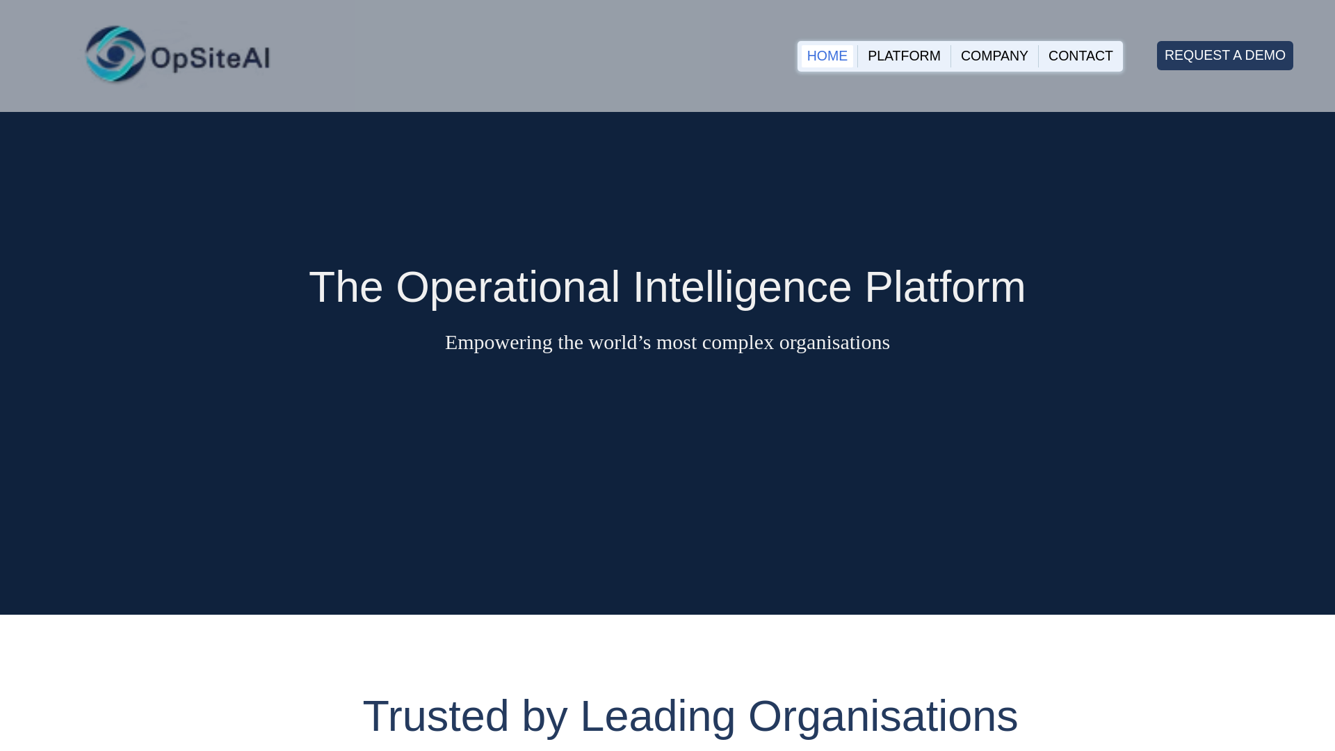 website screenshot of https://opsiteai.com