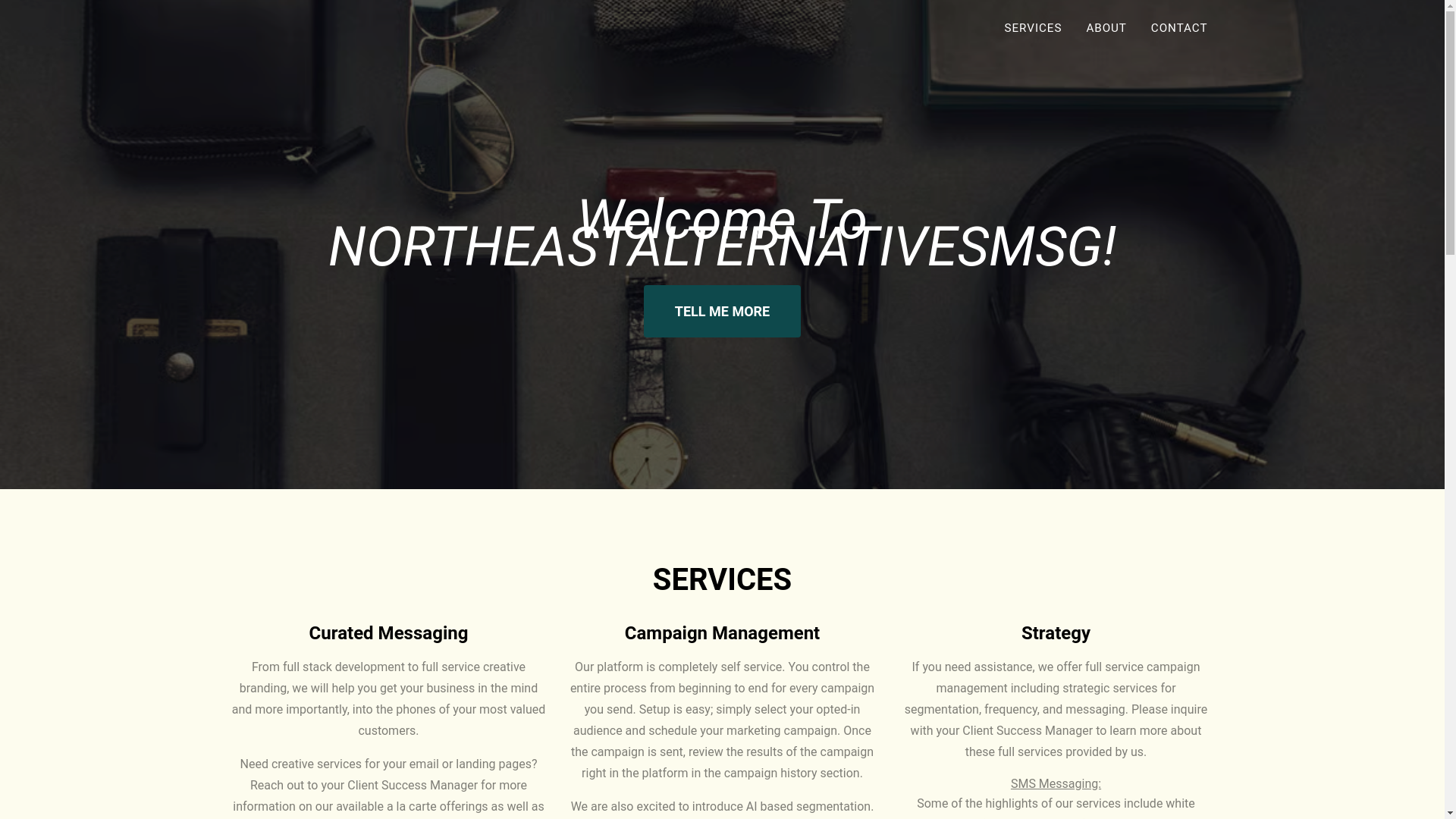 website screenshot of https://northeastalternativesmsg.com/