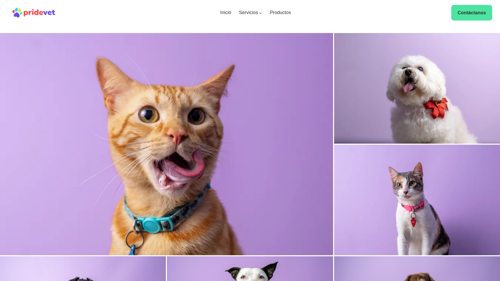 website screenshot of https://pride-vet.com/