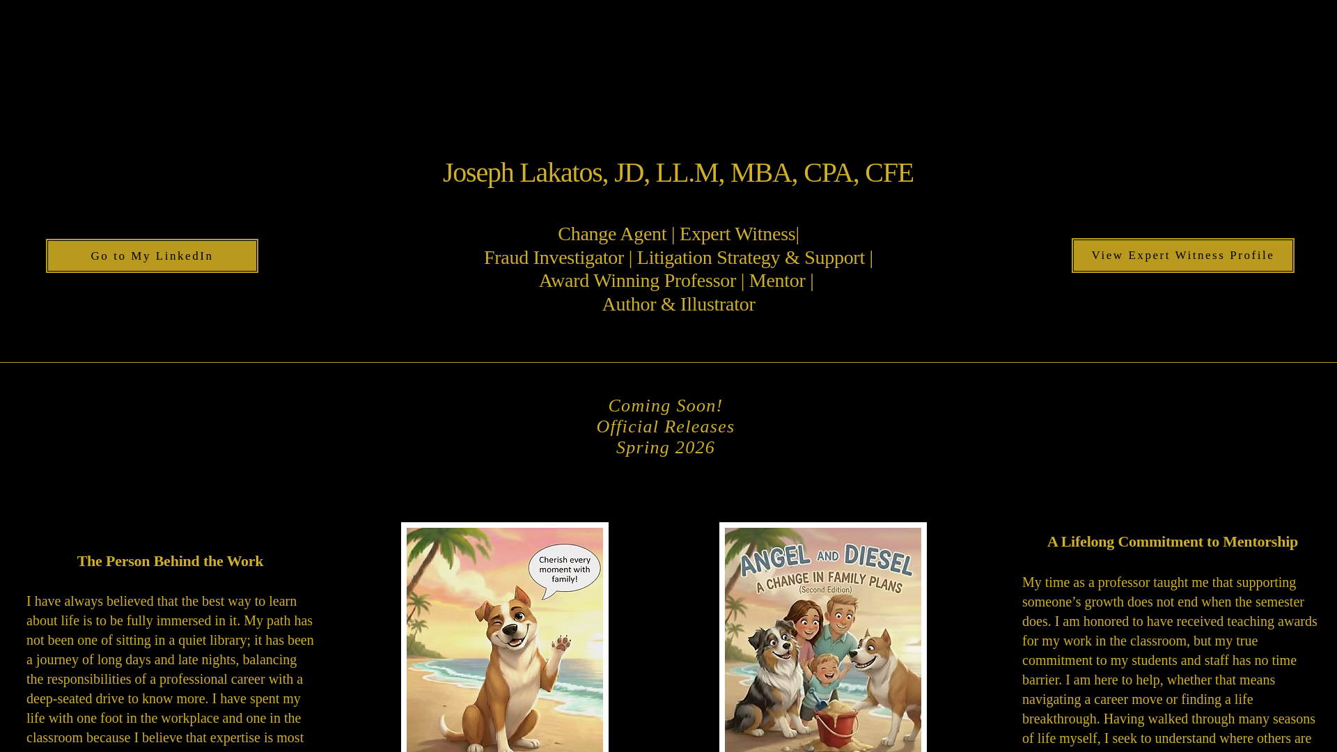 website screenshot of https://josephlakatos.com/