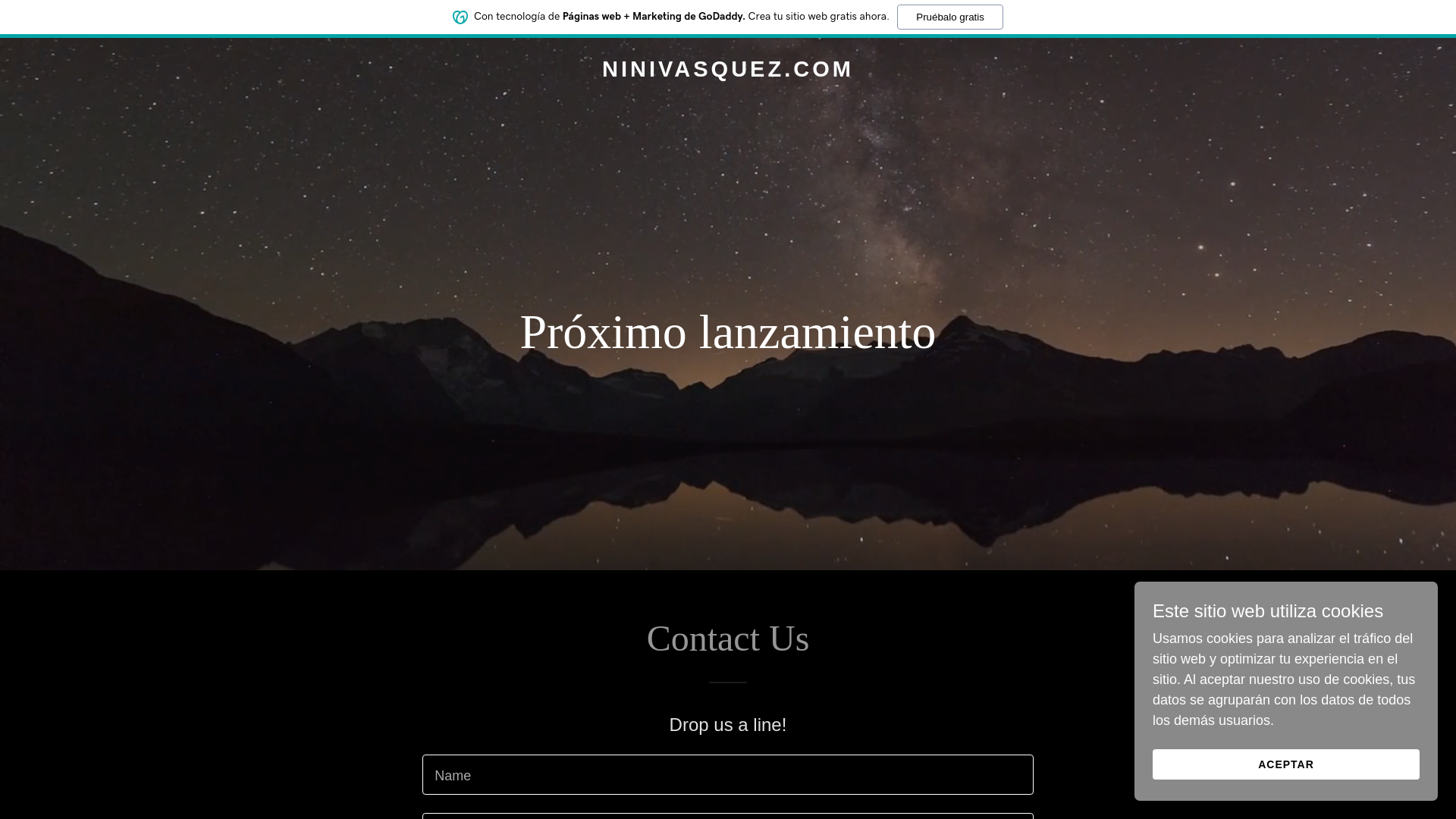 website screenshot of https://ninivasquez.com/