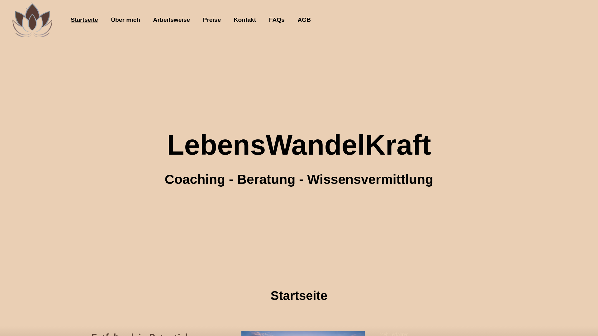 website screenshot of https://lebenswandelkraft.info/