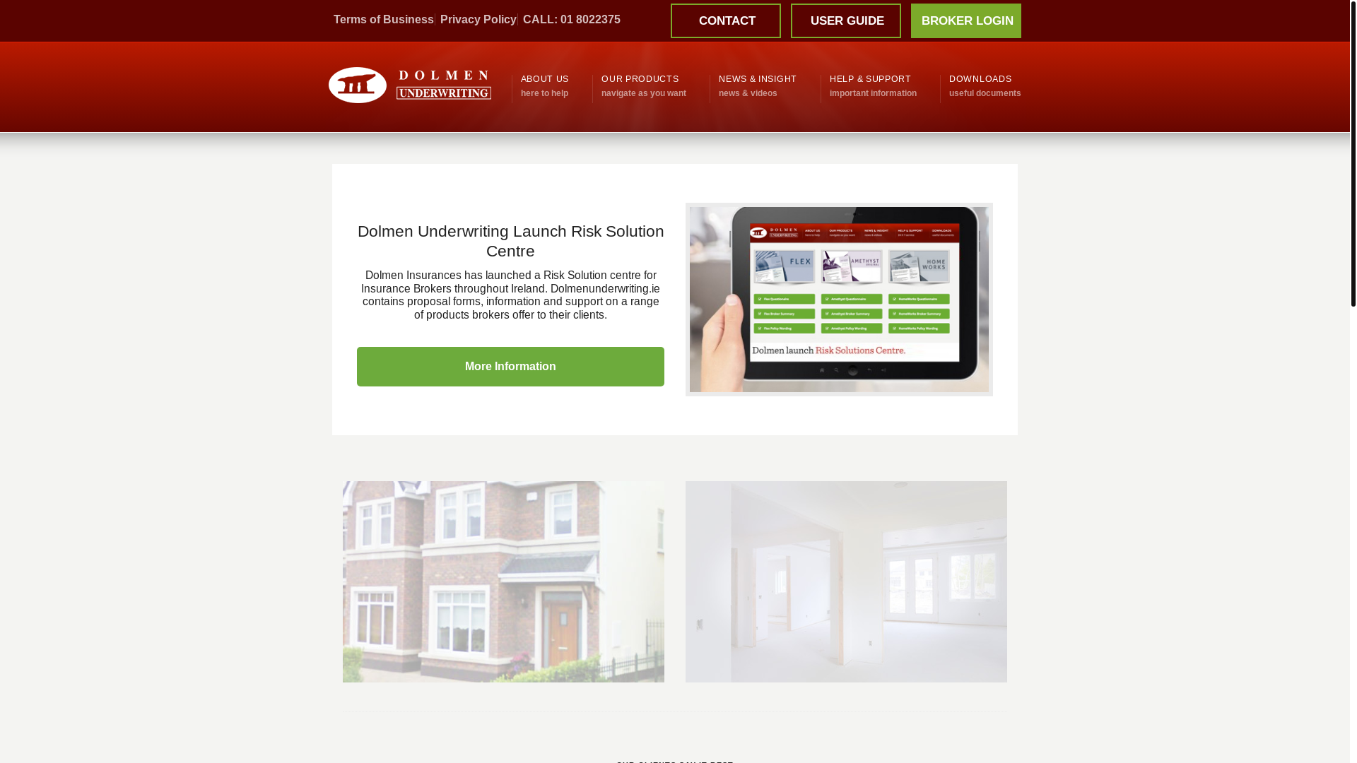 website screenshot of https://dolmenunderwriting.ie/