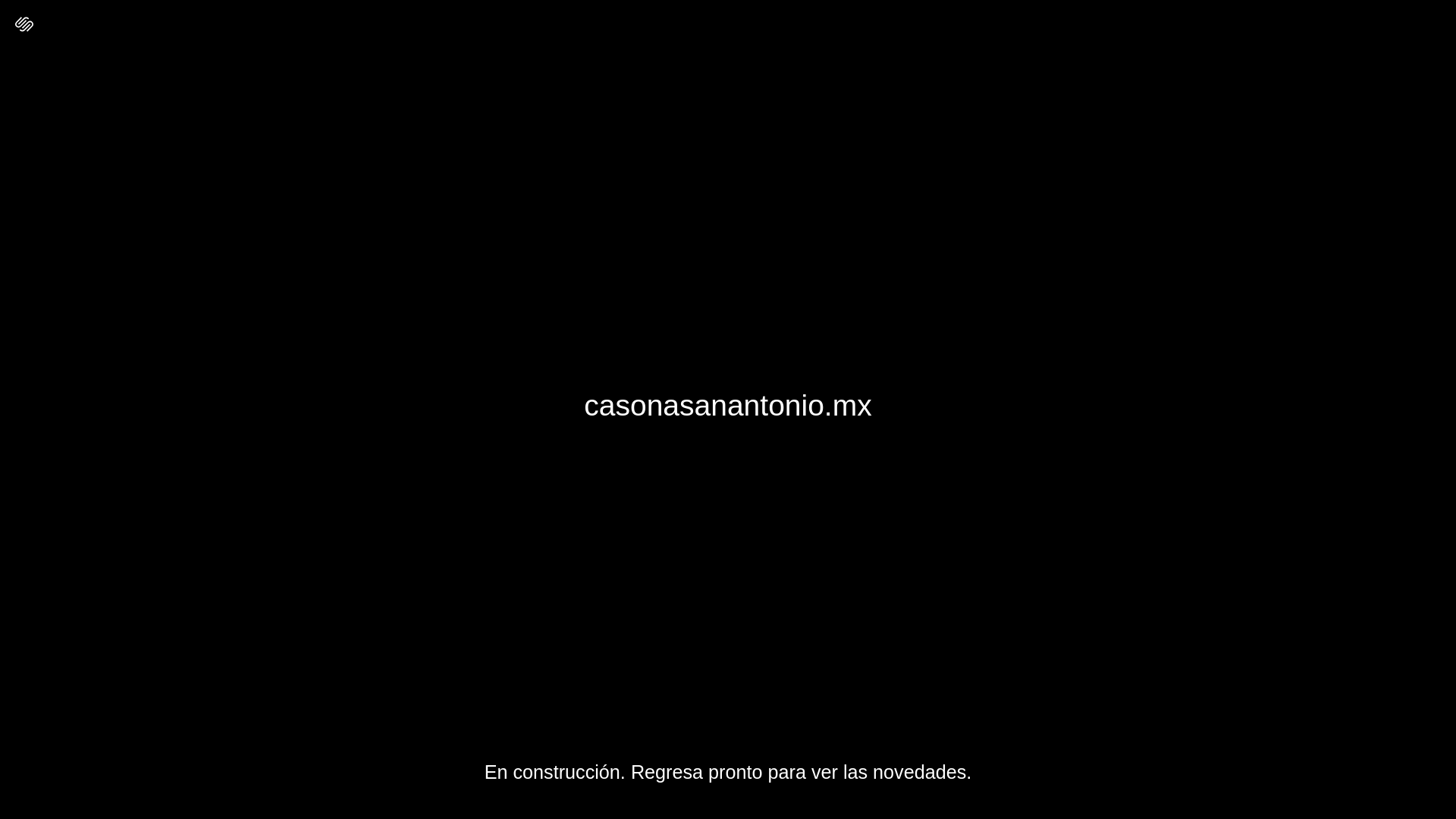 website screenshot of https://casonasanantonio.mx/