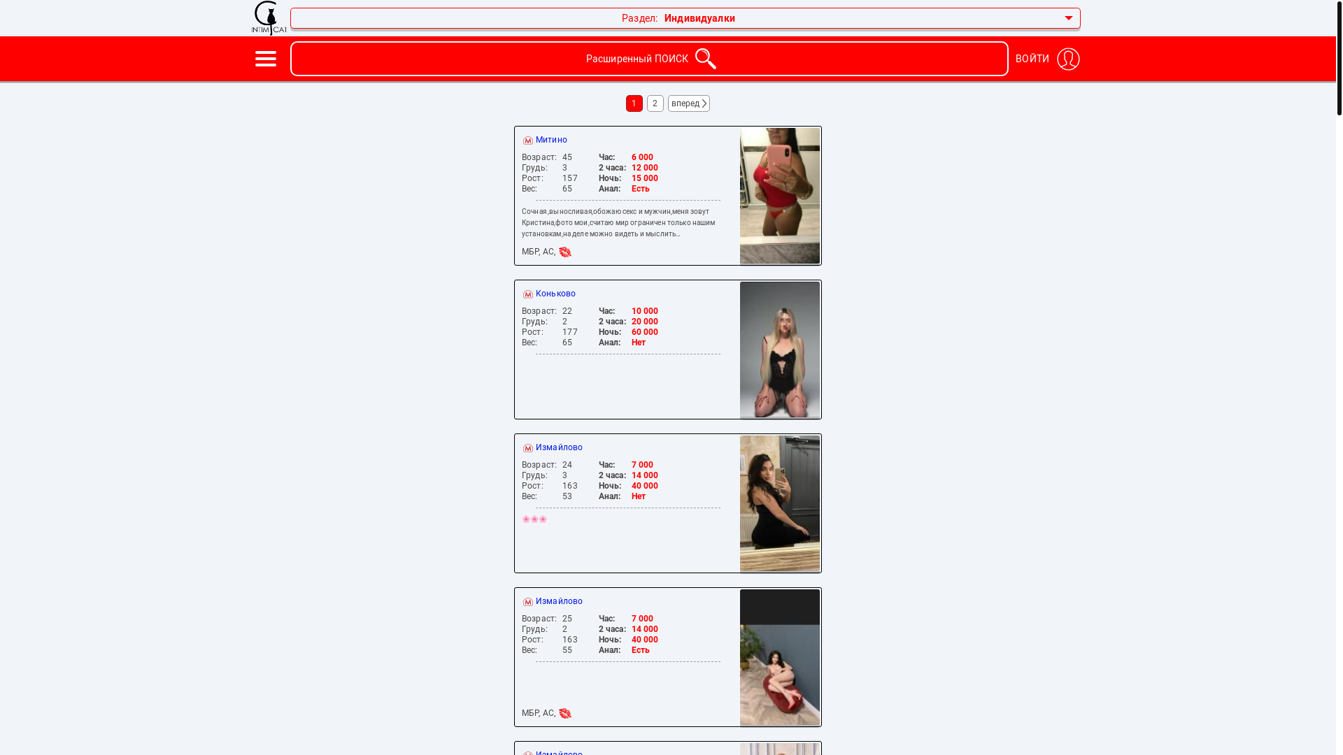 website screenshot of https://intimcat.icu/