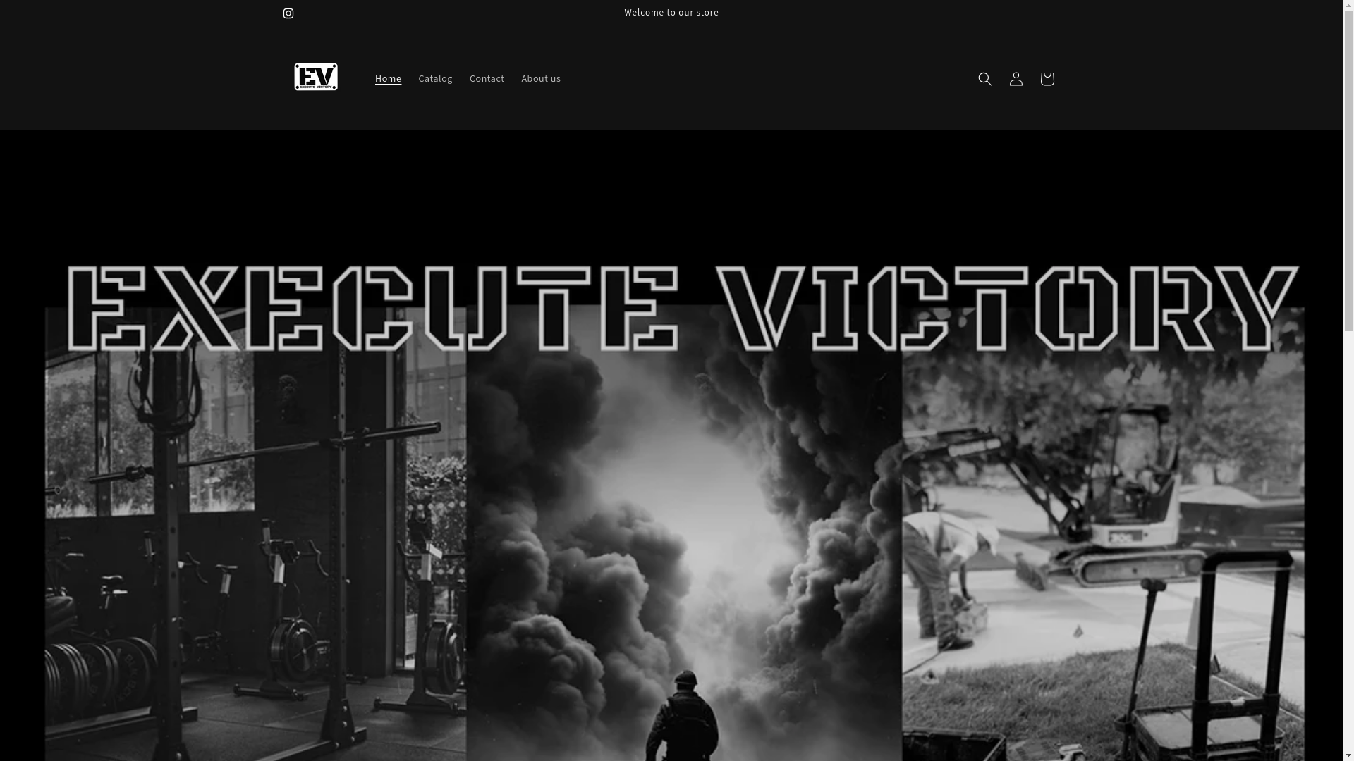website screenshot of https://executevictory.com/