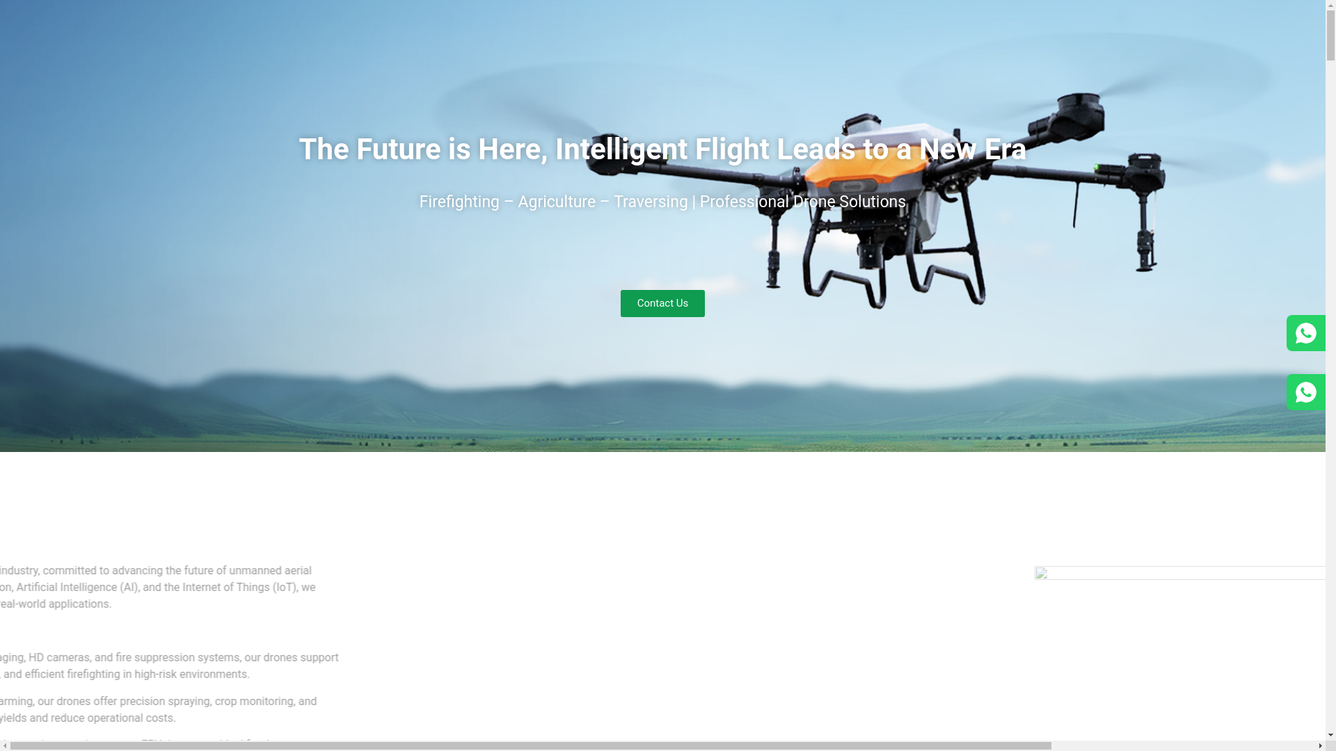 website screenshot of https://leafe-tech.com/