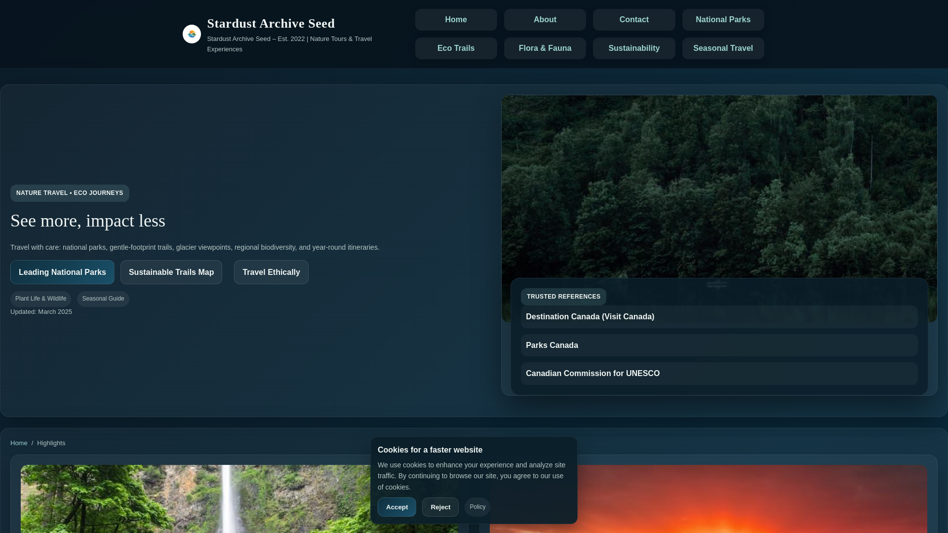 website screenshot of https://stardustarchiveseed.digital/