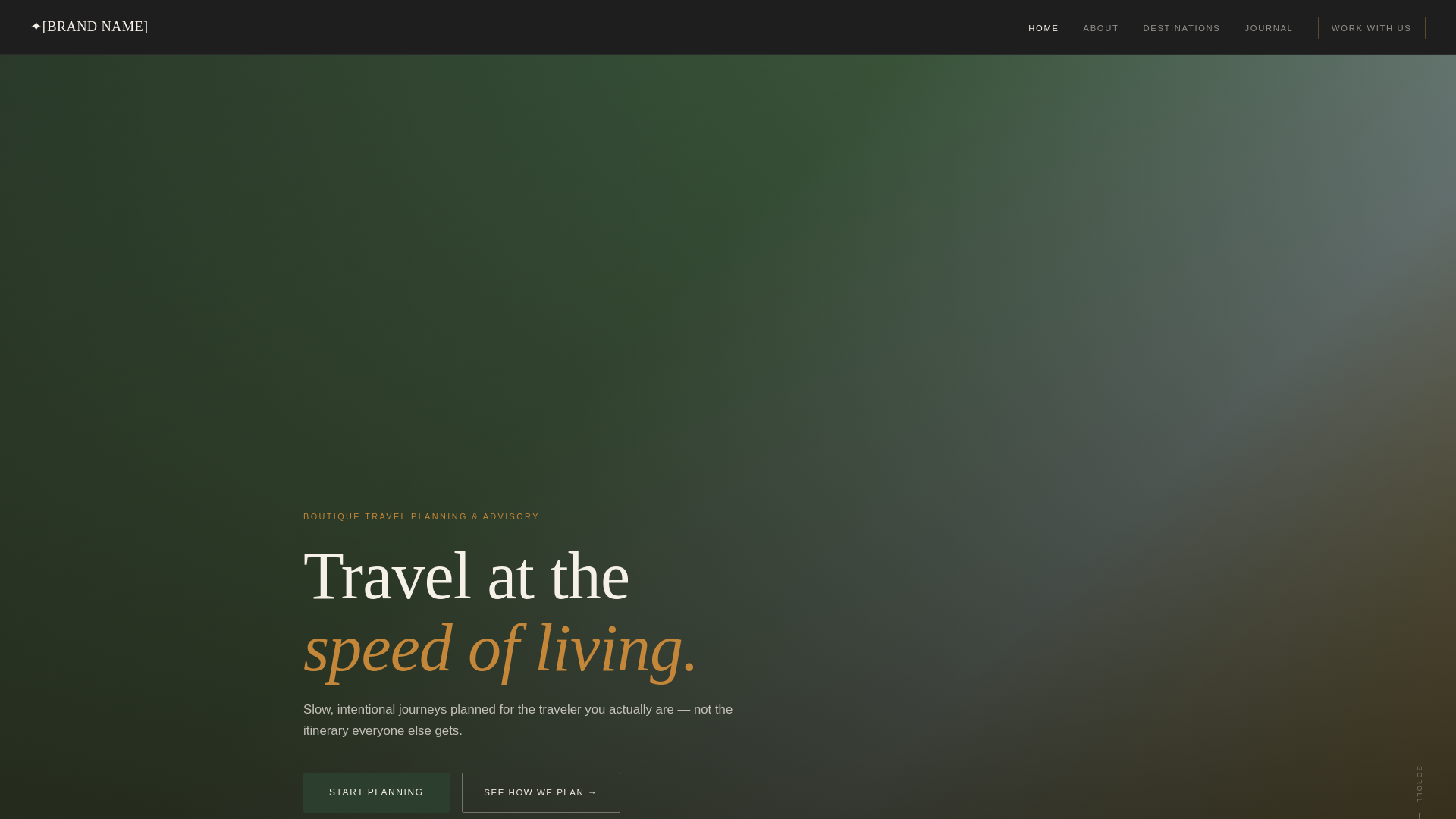 website screenshot of https://welltimedtravel-multipage.pages.dev/