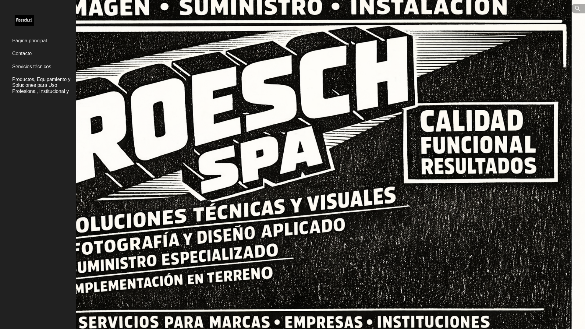 website screenshot of https://roesch.cl/