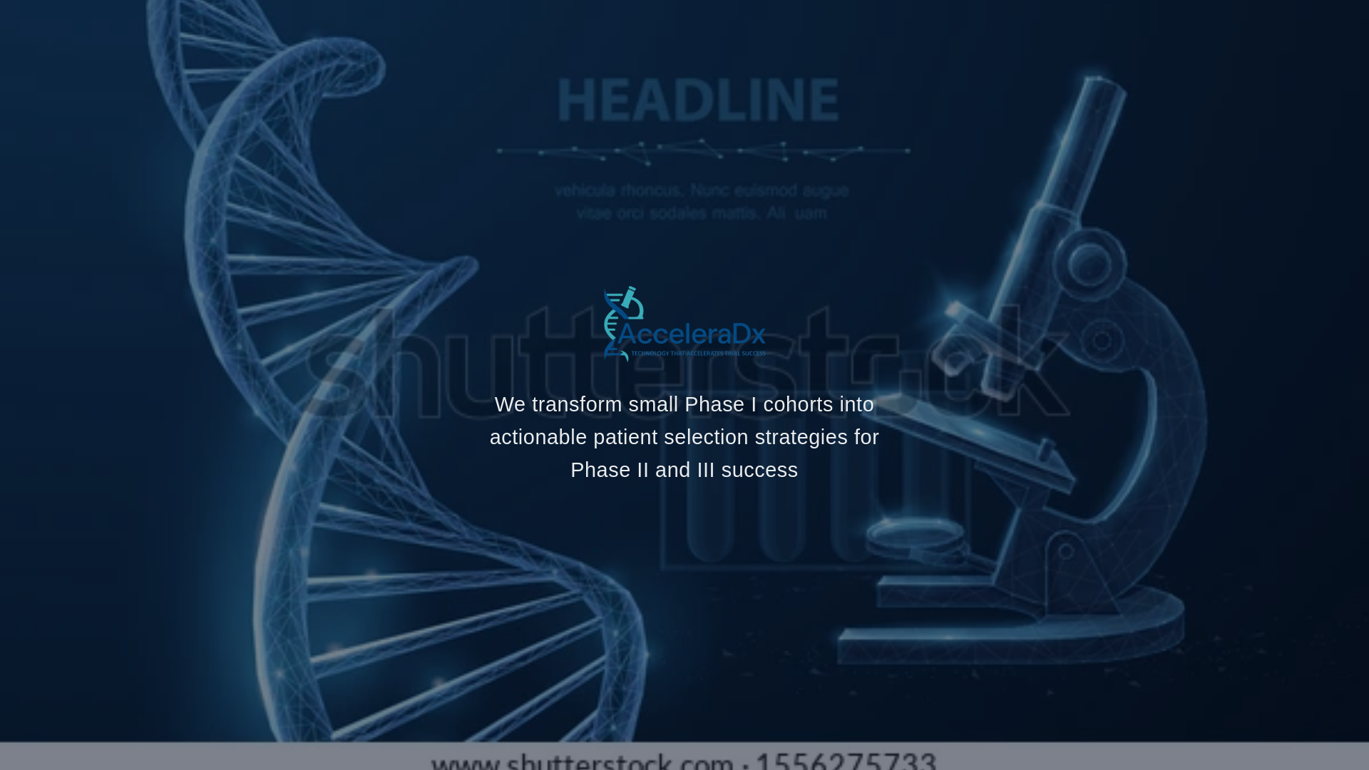website screenshot of https://acceleradx-gf2i5.kinsta.page