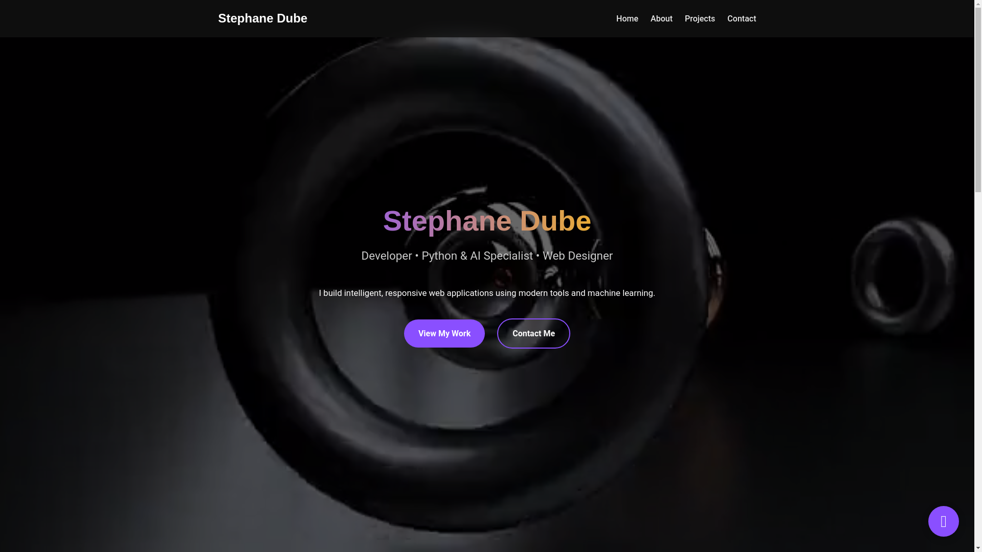 website screenshot of https://stephanedube.pages.dev/