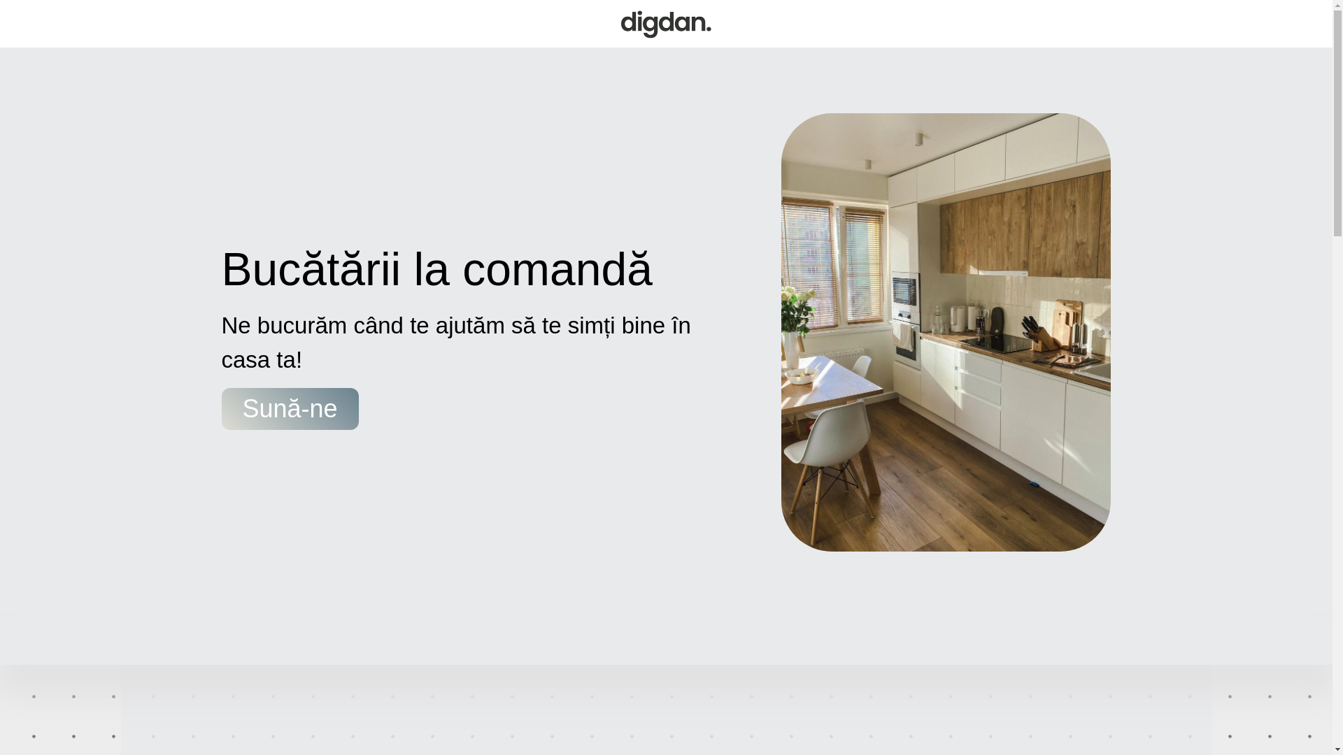 website screenshot of https://digdan.md/