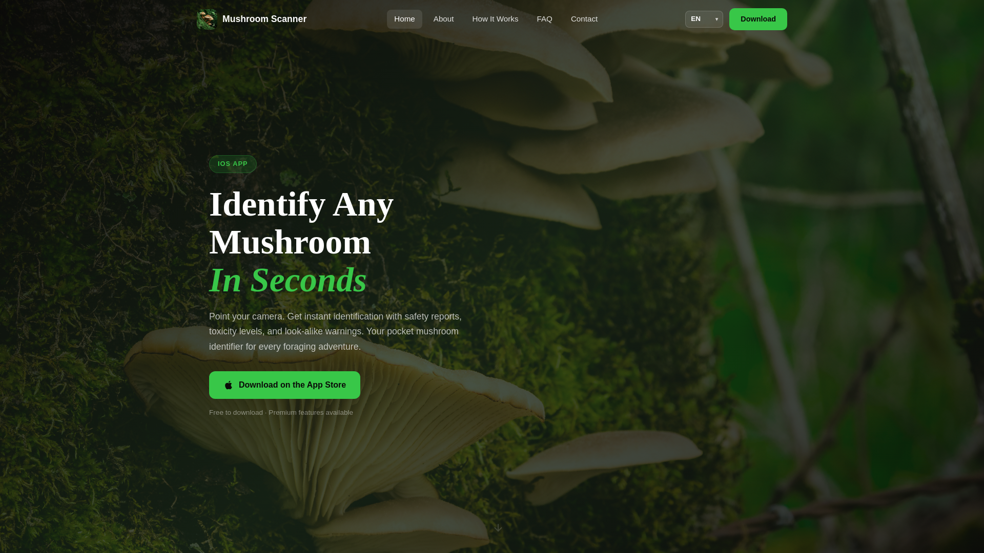 website screenshot of https://mushroomscanner.com/