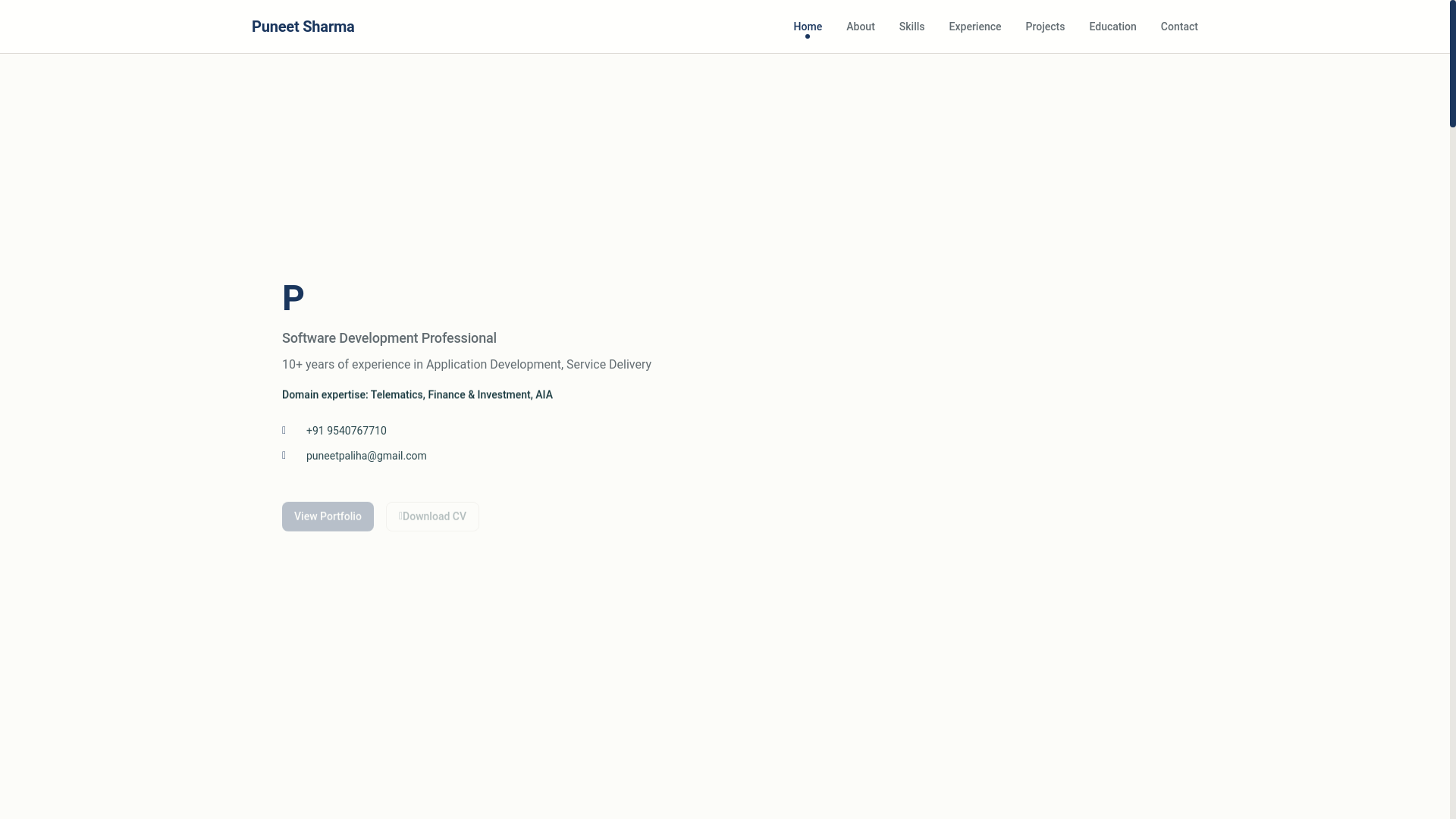 website screenshot of https://puneetsharma.digital/