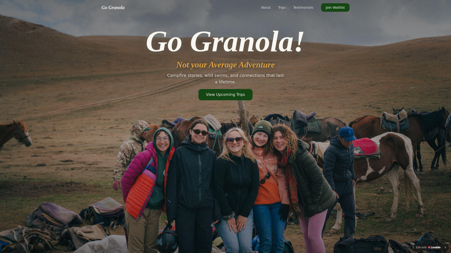 website screenshot of https://gogranolatravel.com/