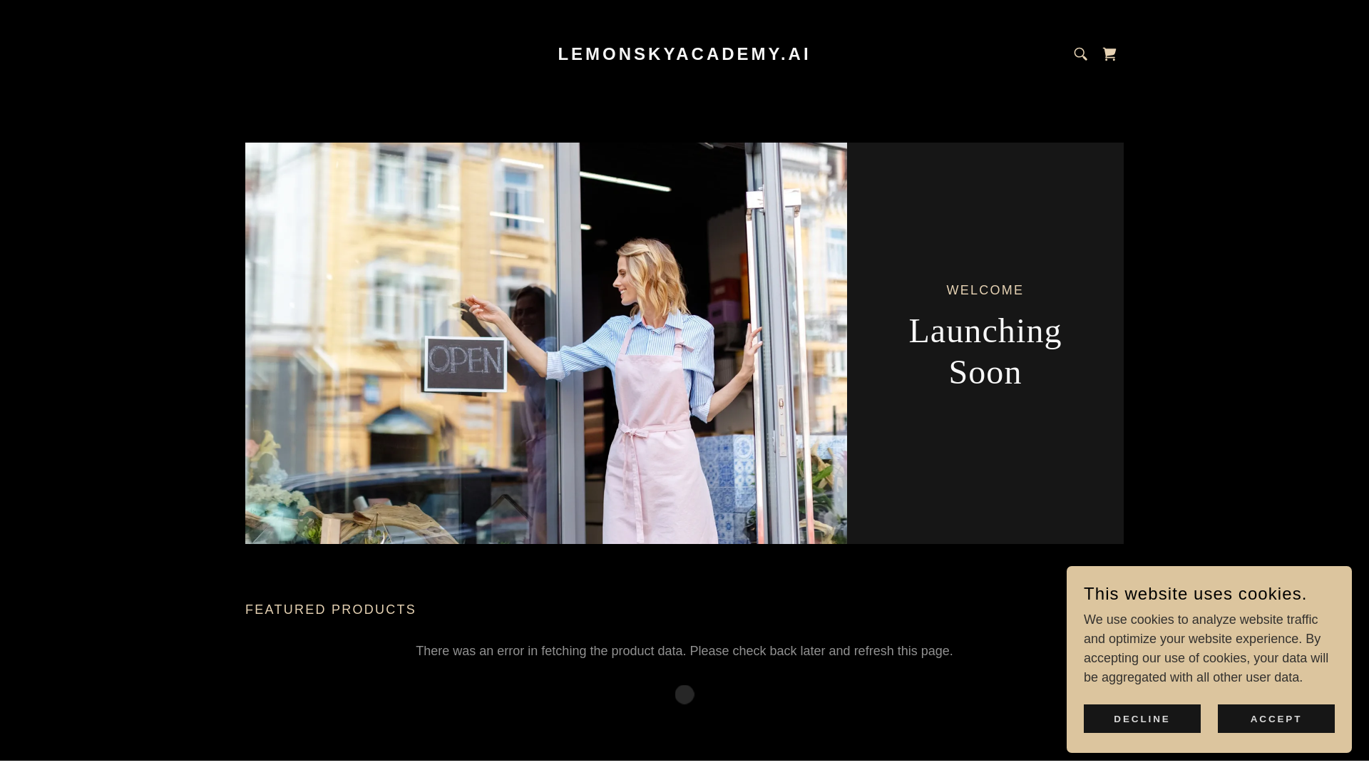 website screenshot of https://lemonskyacademy.ai/