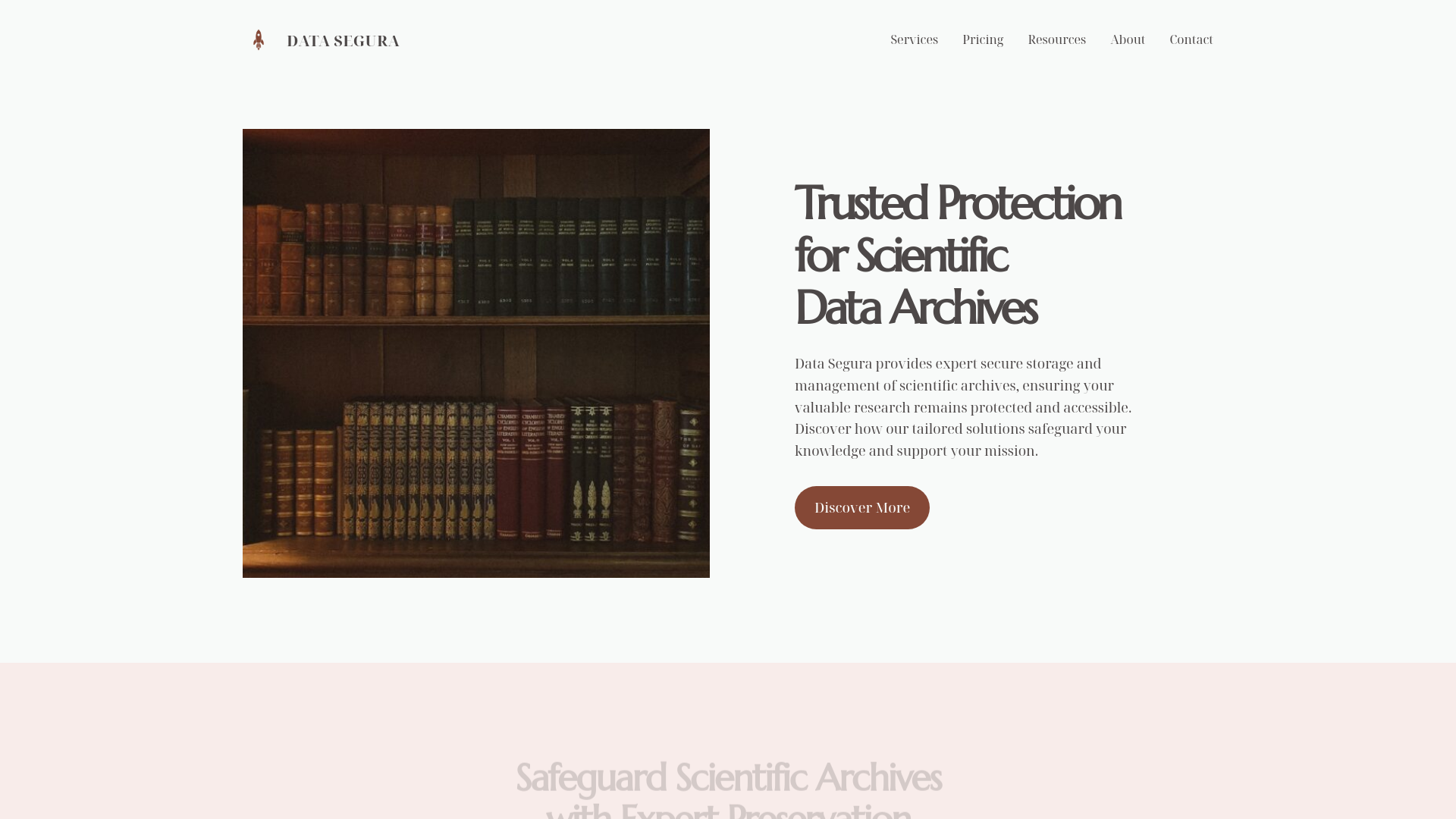 website screenshot of https://datasegura.info/