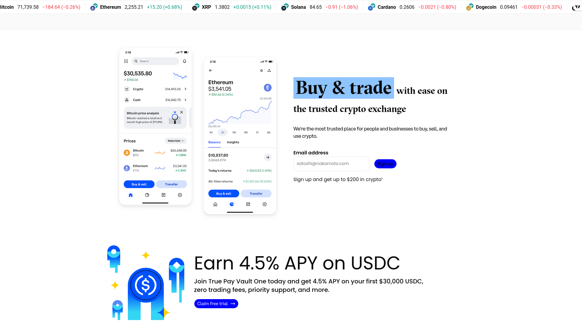website screenshot of https://truepayvault.com/