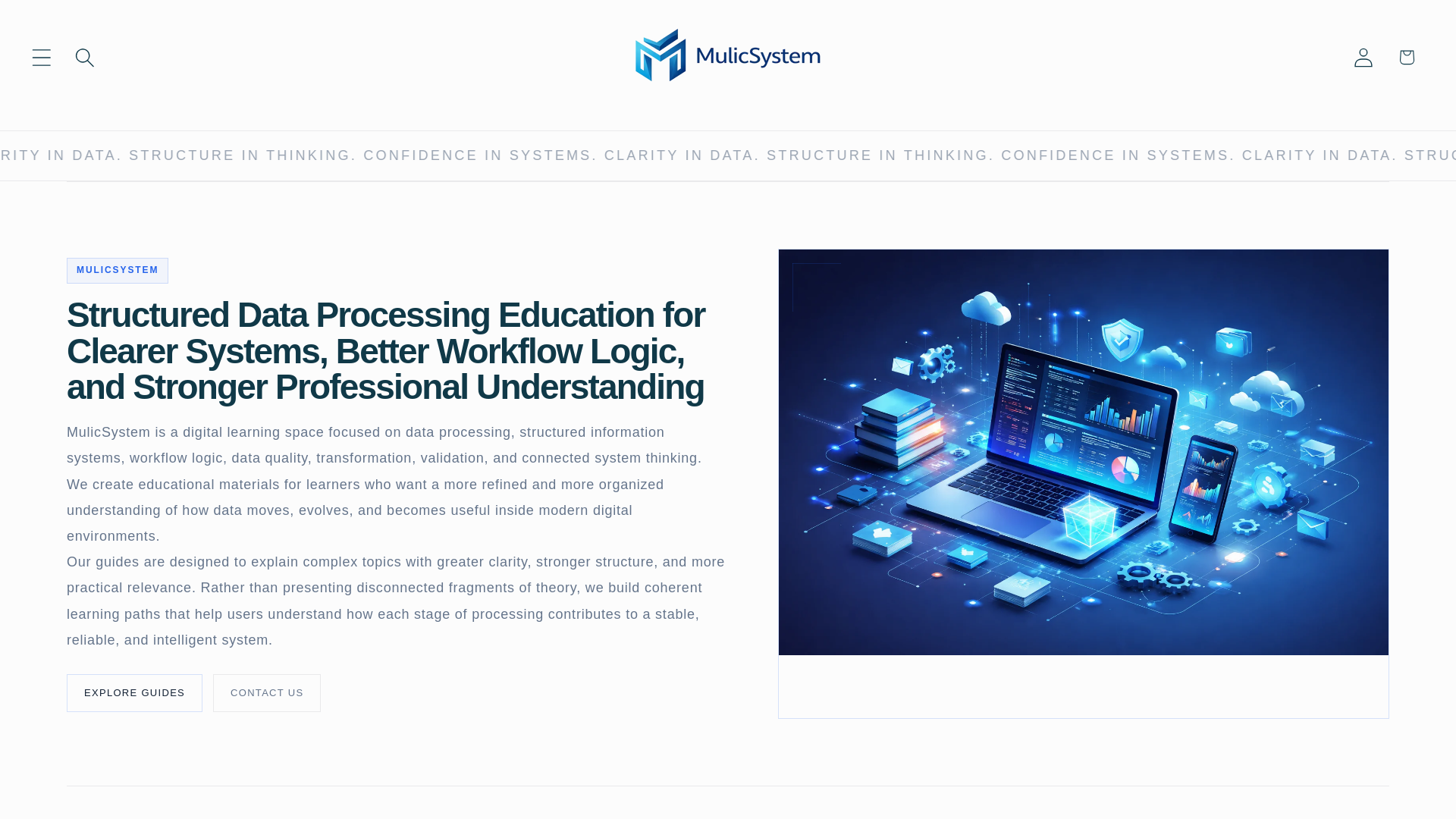 website screenshot of https://mulicsystem.site/