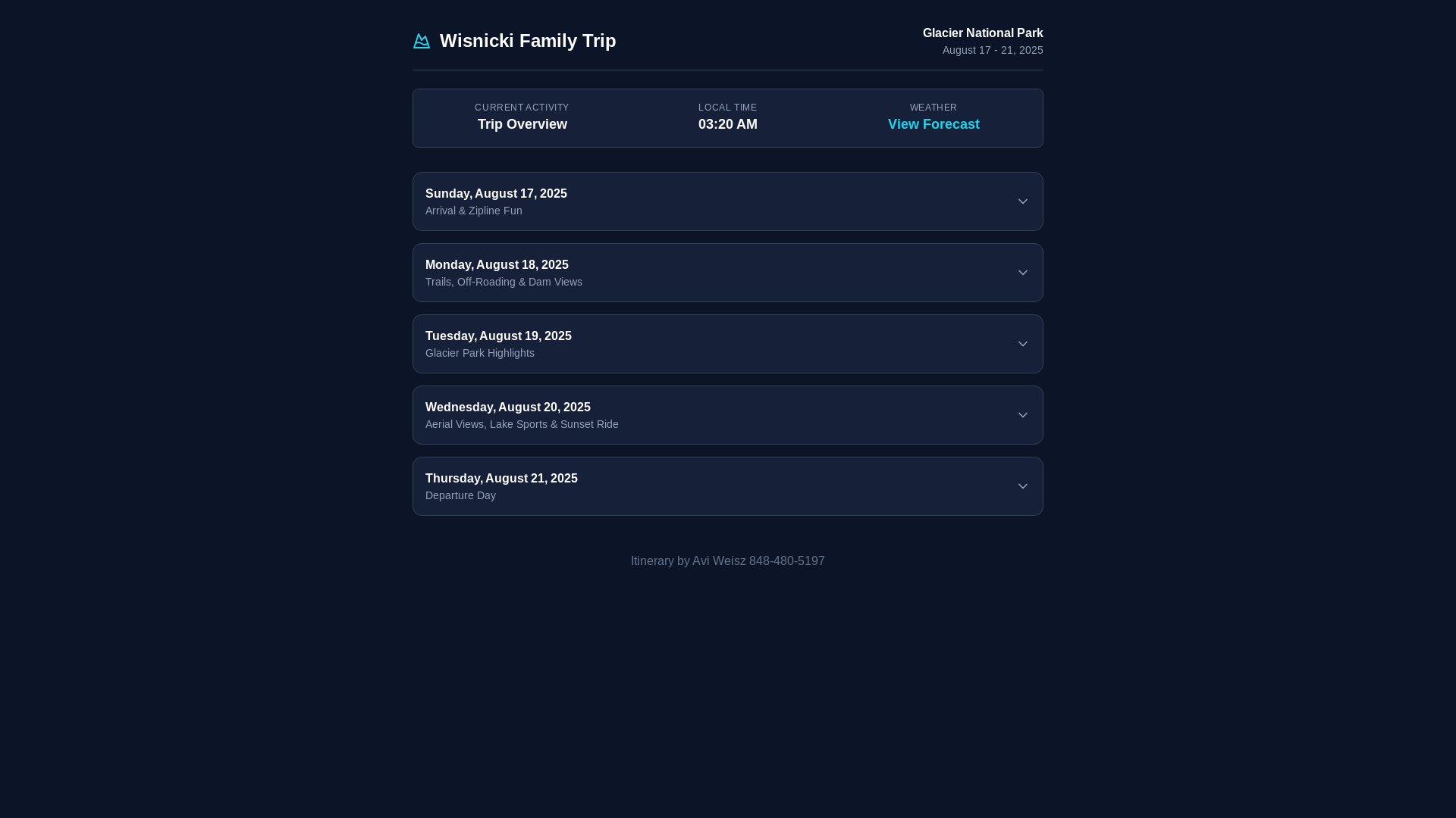 website screenshot of https://wisnickiglacier.com/